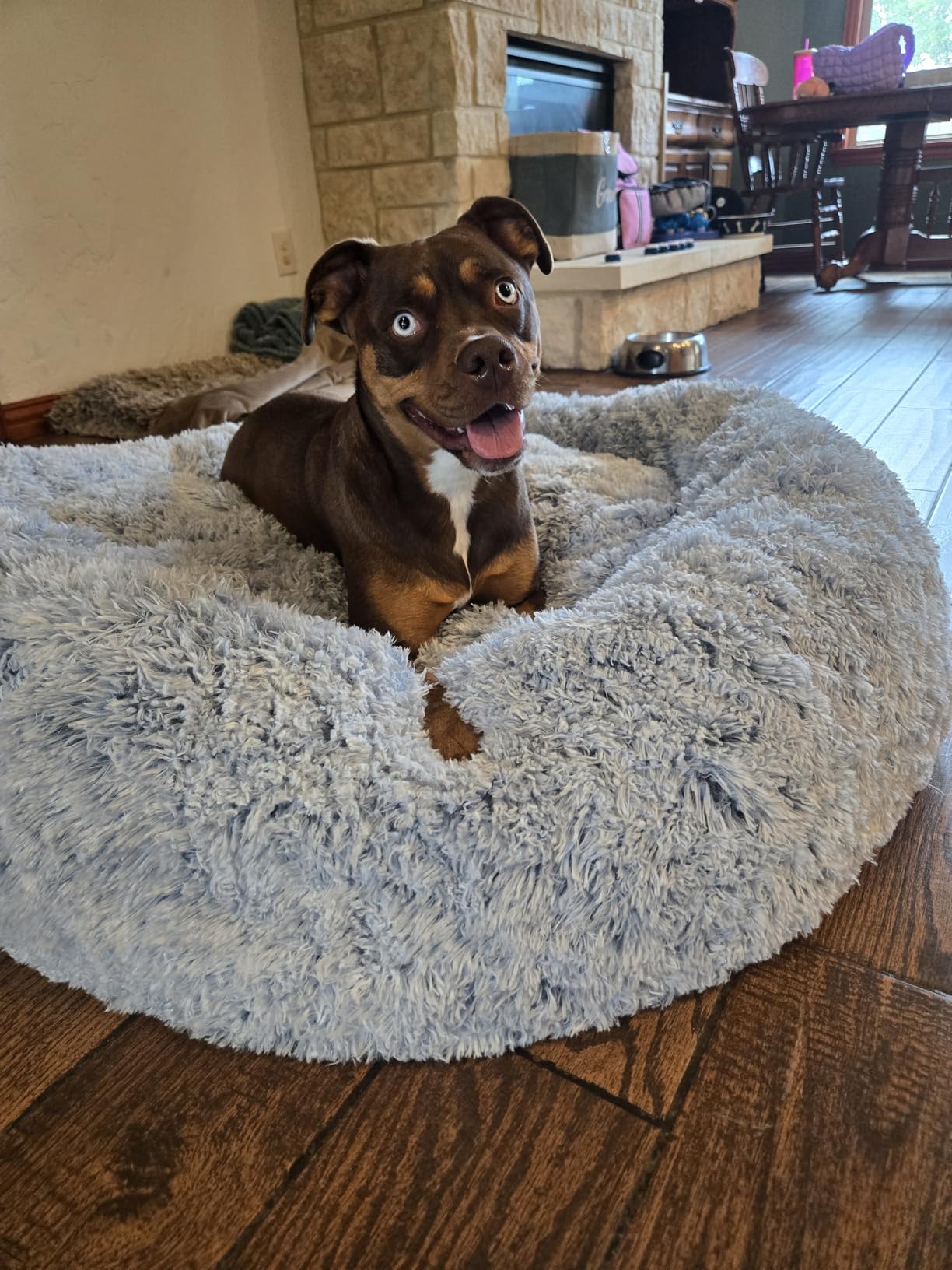 Bedfolks Calming Donut Dog Bed, 36 Inches Round Fluffy for Large Dogs, Anti-Anxiety Plush, Machine Washable (Dark Grey, Large) customer photo 2