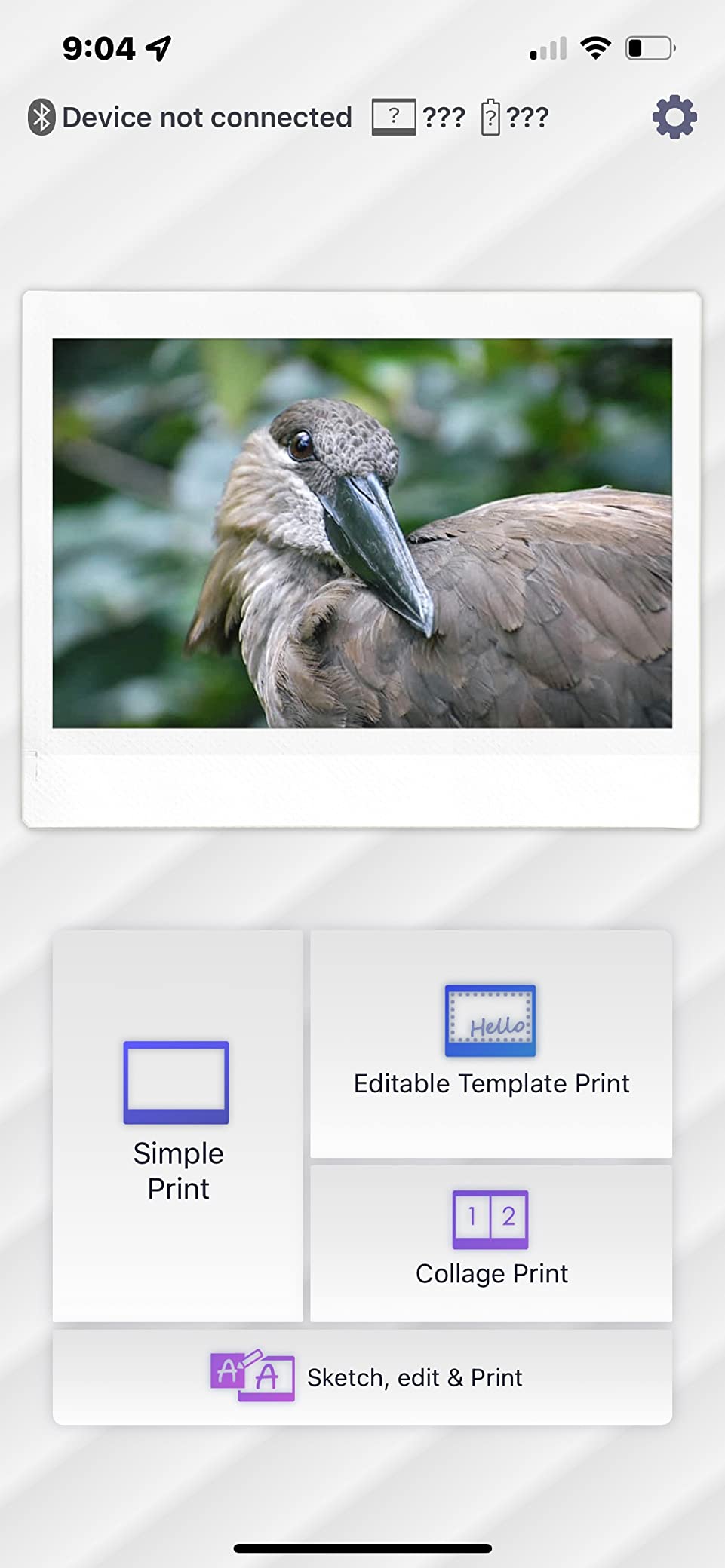 Instax Link Wide Printer - Mocha Gray customer photo 2