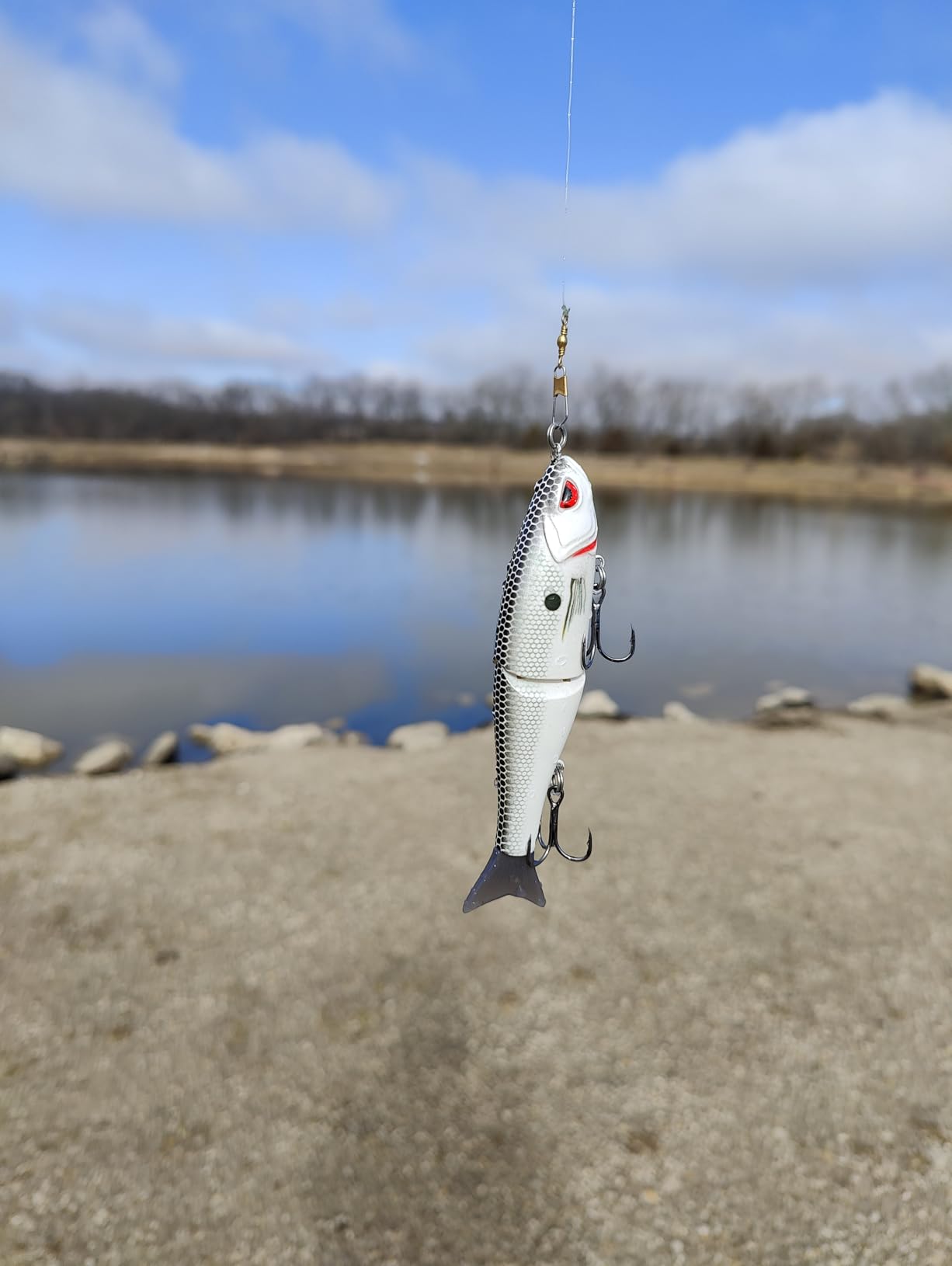 Bassdash SwimShad Glide Baits Jointed Swimbait Bass Pike Salmon Trout Muskie Fishing Lure customer photo 2