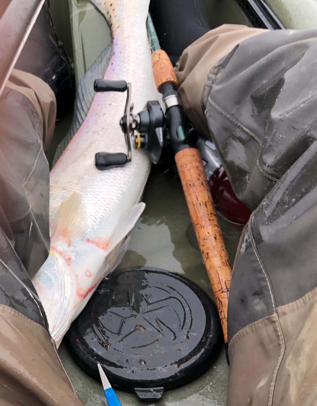 Shimano CURADO K Baitcasting Reel customer photo 2