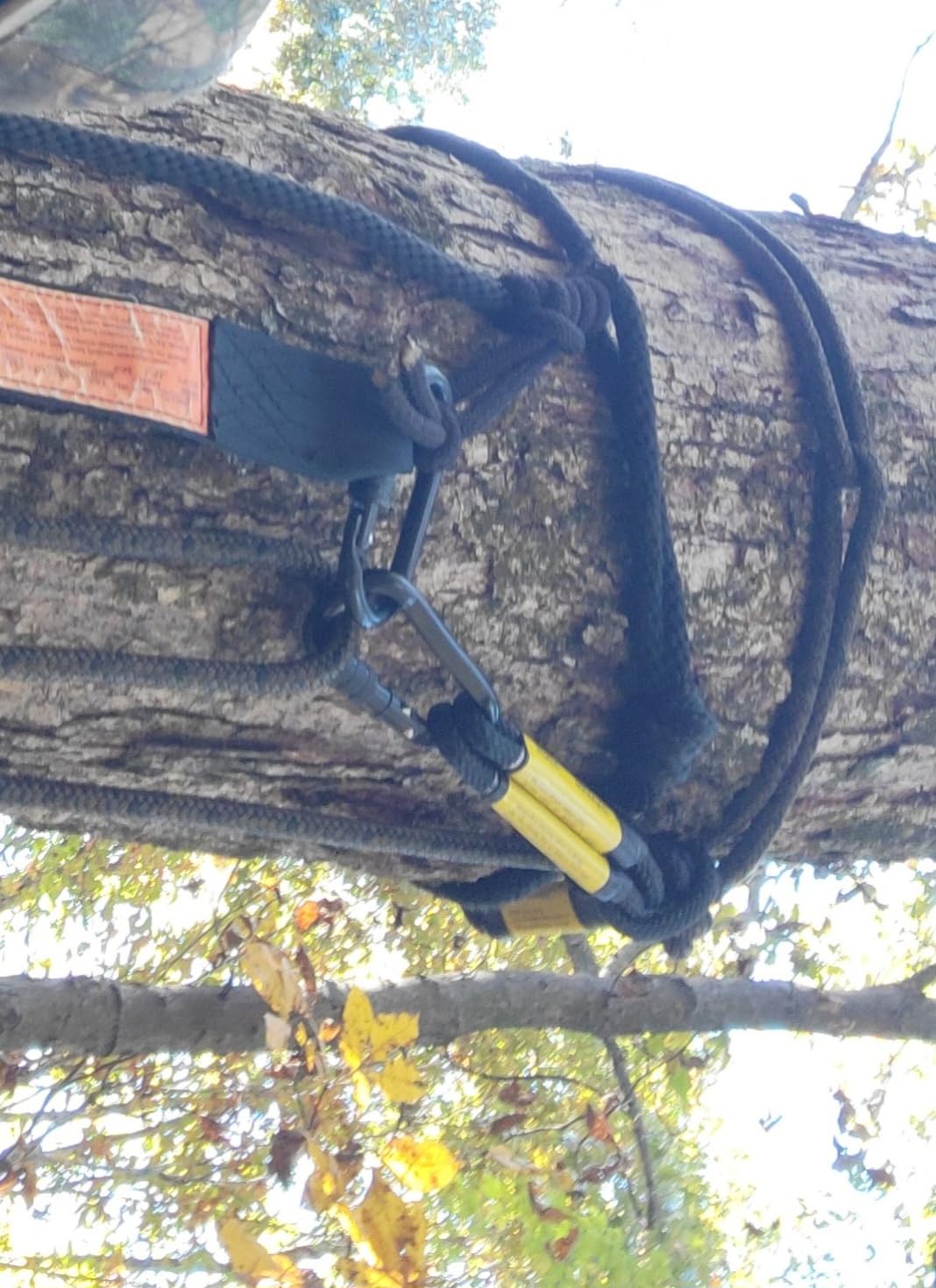 Hunting Safety Lineman's Rope 30ft with Prusik Knot and Single Carabiner for Hunter Climbing Tree Stand Hanging Ladder Stand or Bow Lifeline, Fall Protection When Hunting on Stands customer photo 1