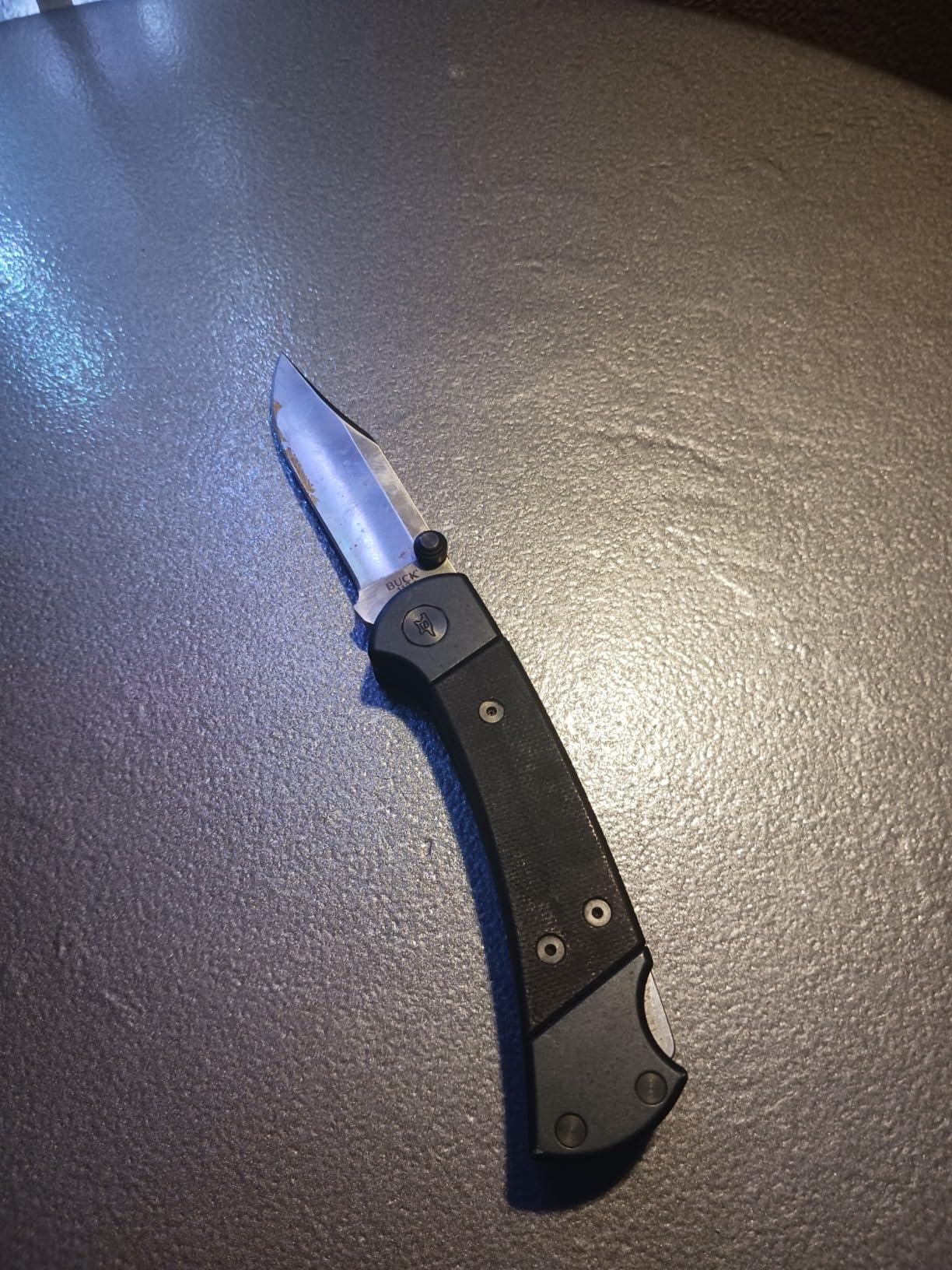 Buck Knives 110 Folding Hunter Sport Knife, 3-3/4