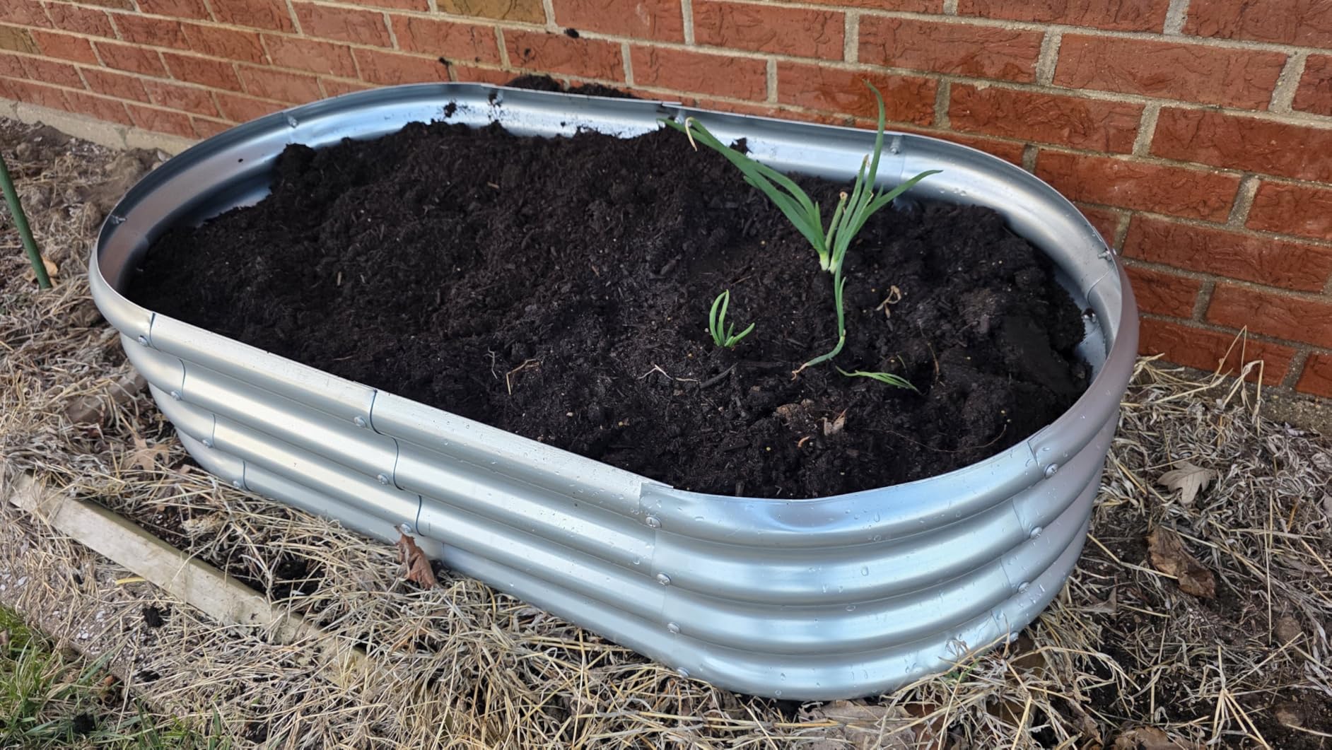 Land Guard Galvanized Raised Garden Bed Kit, Galvanized Planter Raised Garden Boxes Outdoor, Oval Large Metal Raised Garden Beds for Vegetables (Grey) 4x2x1ft (1pcs) customer photo 1