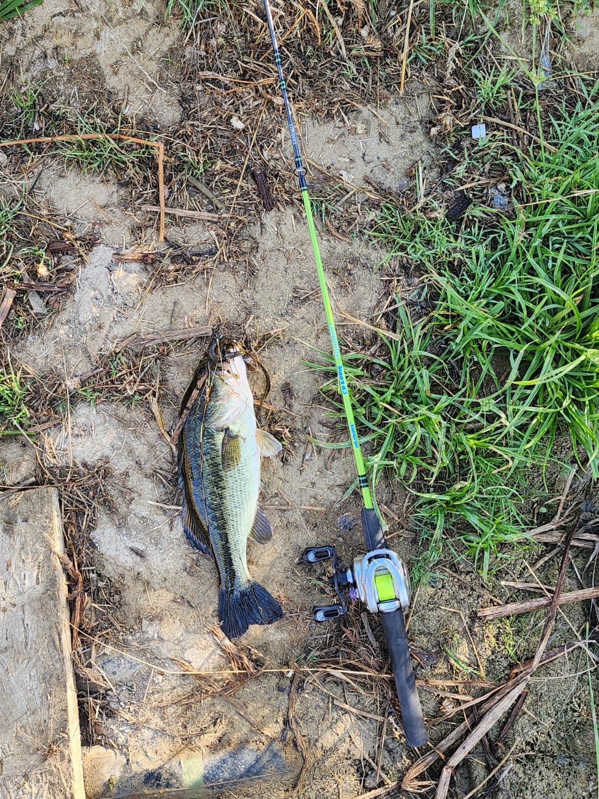 Lew's Crappie Thunder Spinning Fishing Rod, Light Power, Fast Action, Premium 2-Piece Graphite Blank, EVA Split Grip Handle customer photo 1
