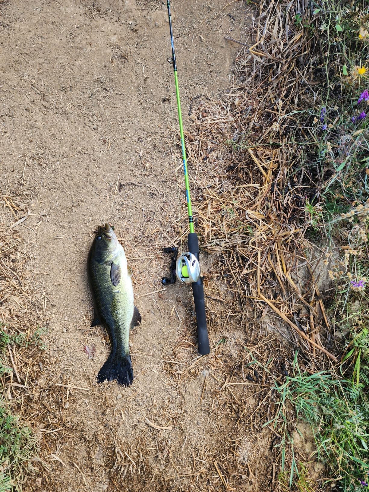 Lew's Crappie Thunder Spinning Fishing Rod, Light Power, Fast Action, Premium 2-Piece Graphite Blank, EVA Split Grip Handle customer photo 2
