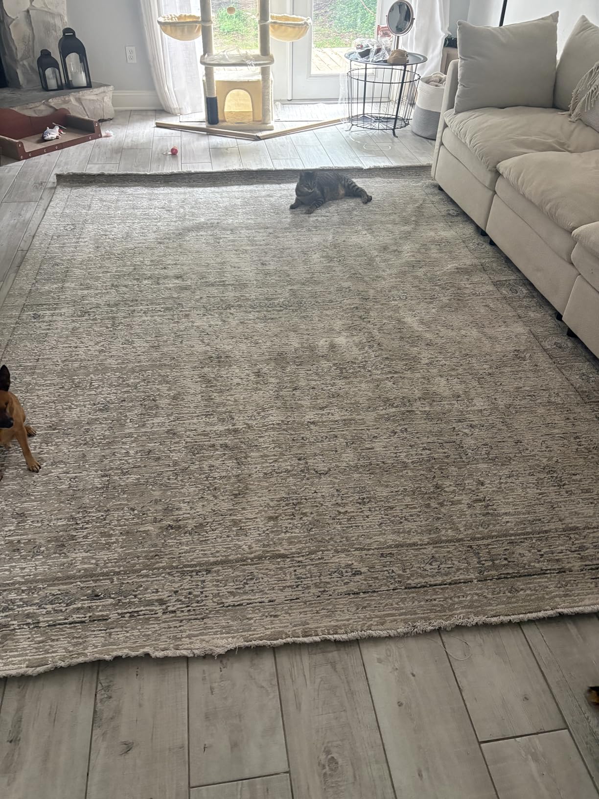 Loloi Amber Lewis Alie Collection ALE-02 Sand/Sky 7'-10'' x 10', .13'' Pile Height, Area Rug customer photo 1