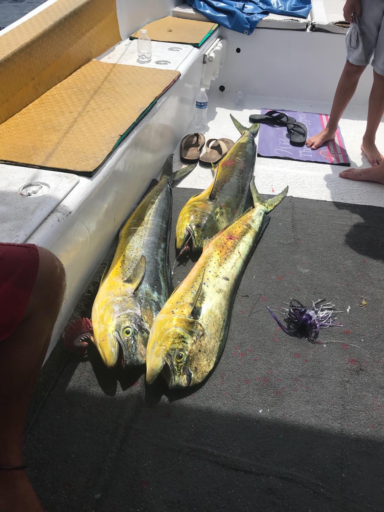 Fishing Lure Set of 6 Trolling Saltwater Skirted Lures: Rigged Lures and Black Bag Included. Catch Any Predatory Pelagic Fish in The Ocean Including Dolphin, Tuna, and Wahoo! customer photo 2