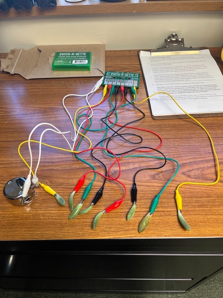 Synth-a-Sette: The Original Cassette Sized Analog Synthesizer customer photo 1