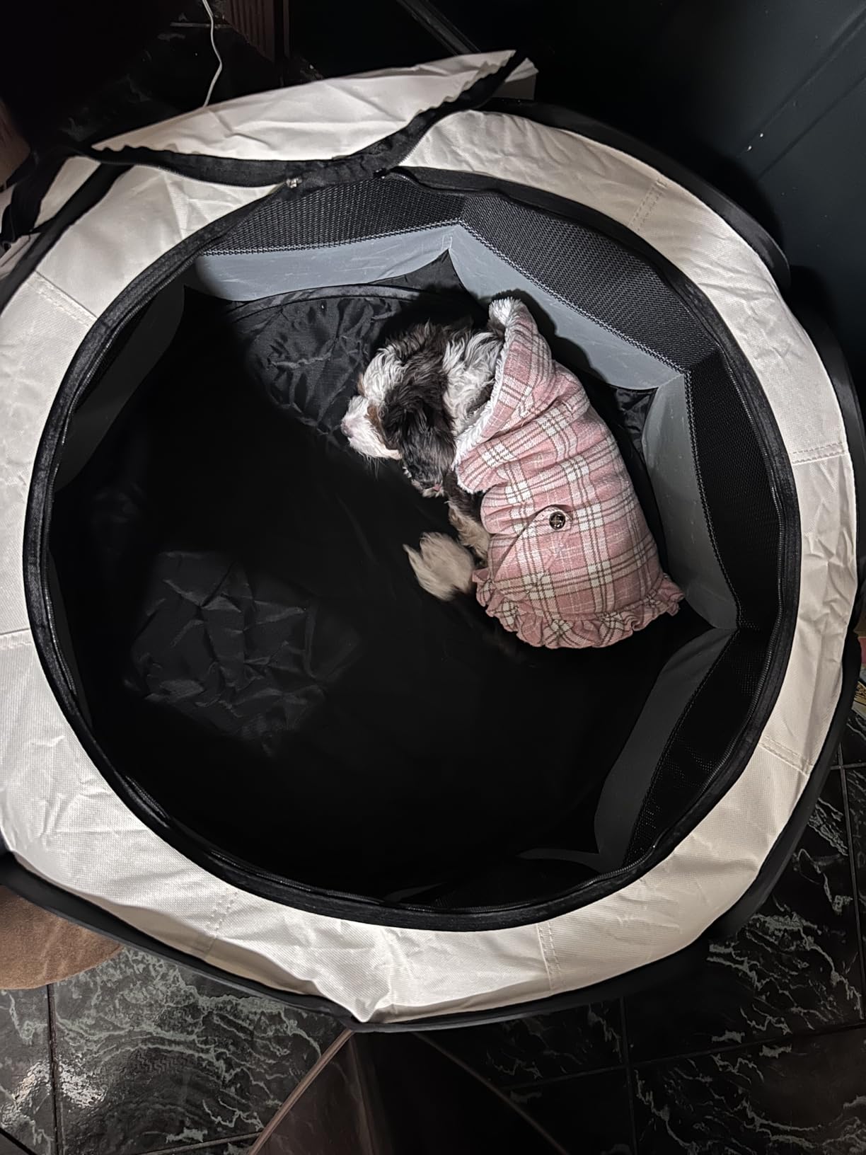 Love's cabin Pet Puppy Dog Playpen, Small Dog Tent Crates Cage Indoor/Outdoor, Portable Playpen for Cat, Foldable Pop Up Dog Kennel Playpen with Carring Case, Removable Zipper Top, Grey customer photo 1
