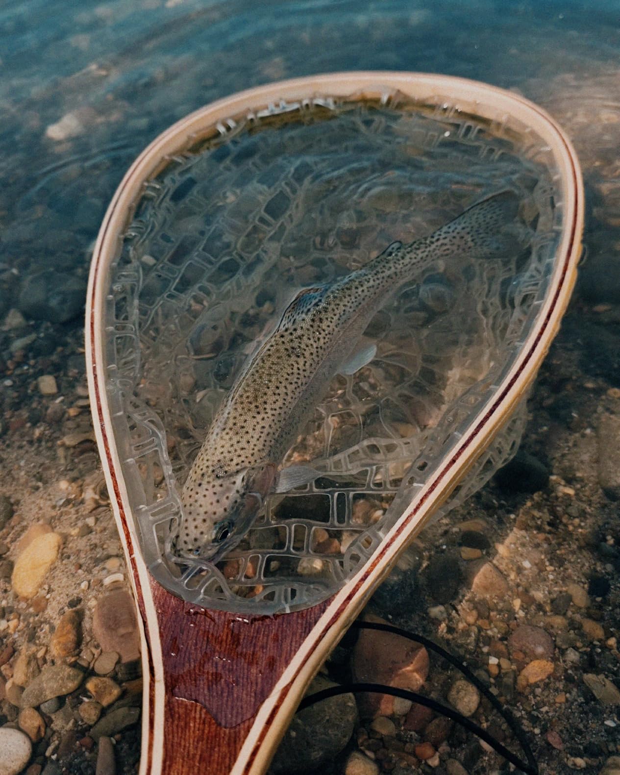 Fashionwu Fly Fishing Landing Net Trout Fishing Net, Soft Rubber Catch and Release Fish Net with Wooden Handle Frame customer photo 1