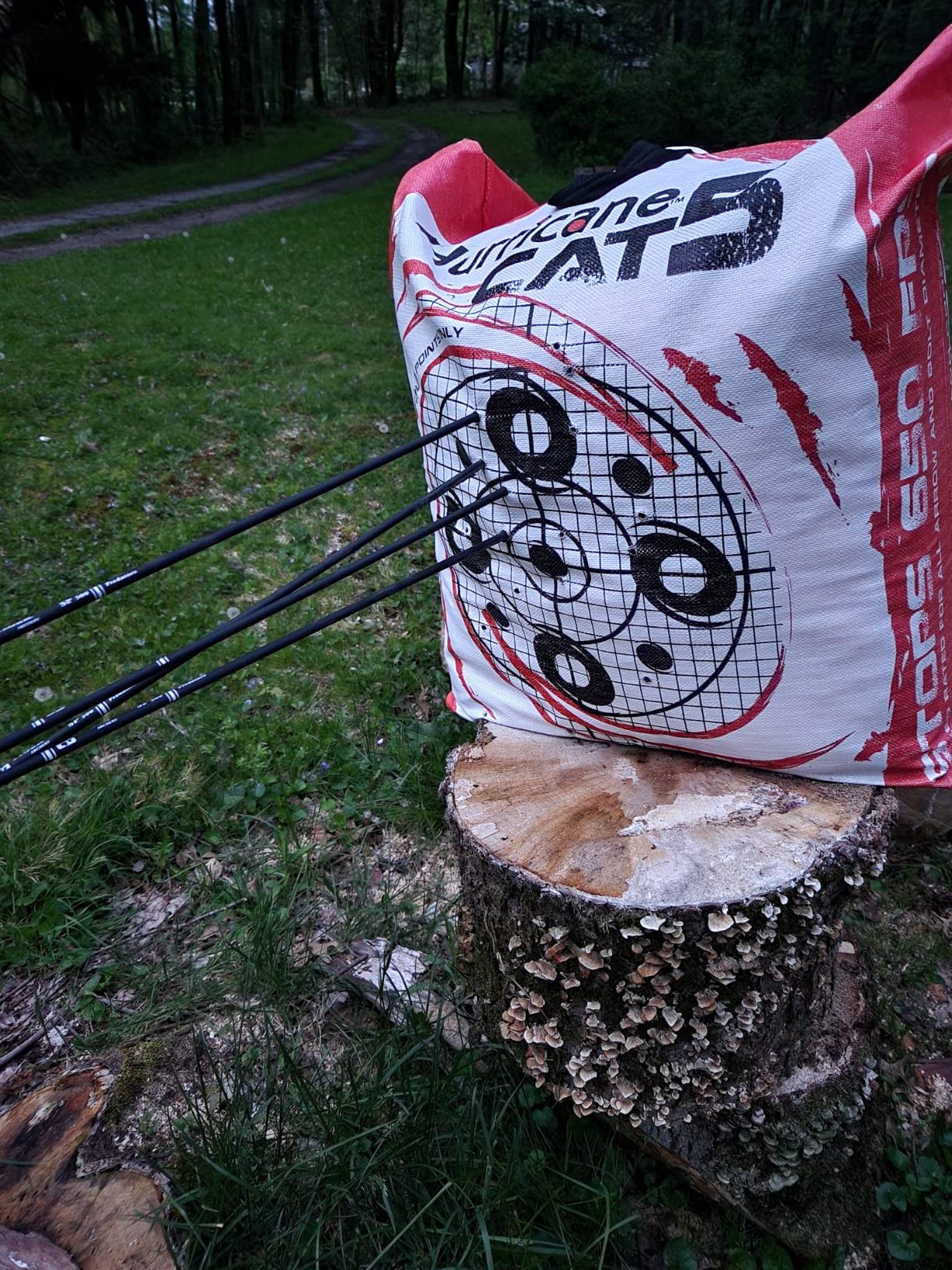 Bear Archery Cruzer G3 Ready to Hunt Compound Bow customer photo 1