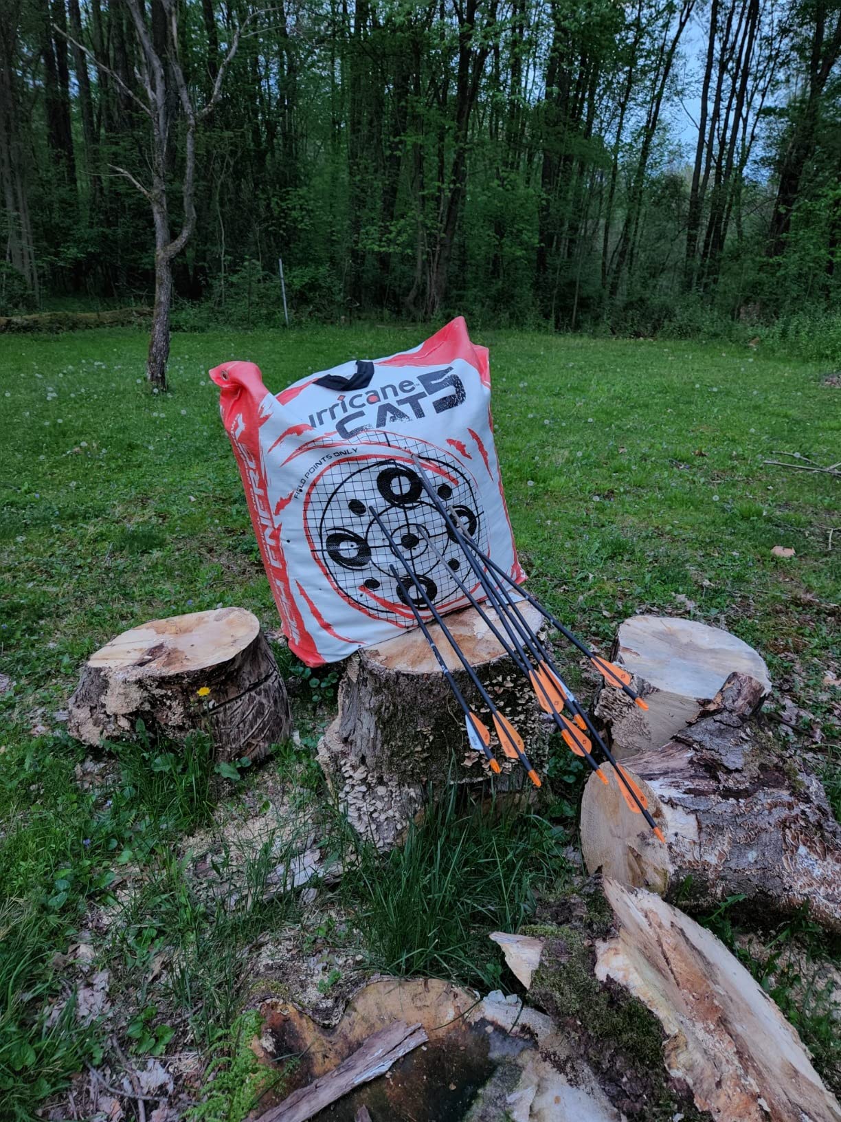 Bear Archery Cruzer G3 Ready to Hunt Compound Bow customer photo 2