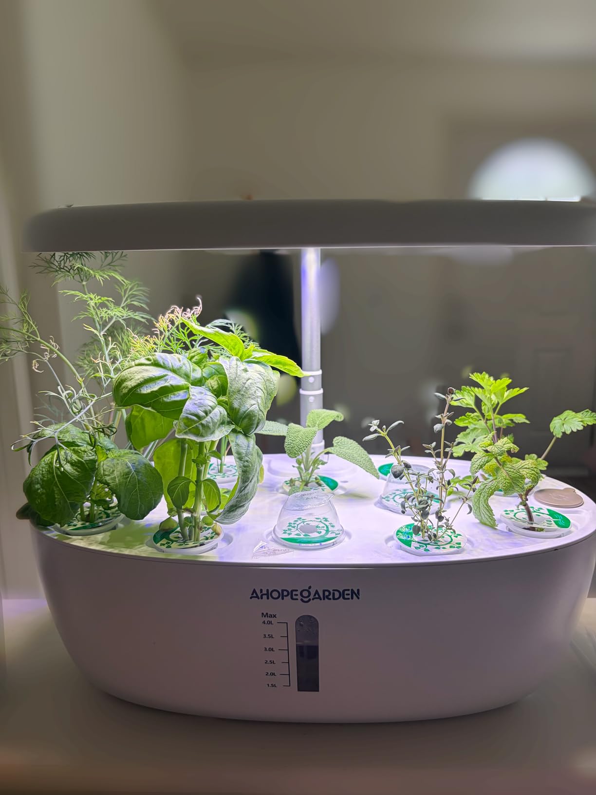 Ahopegarden Indoor Garden Hydroponics Growing System: 12 Pods Plant Germination Kit with LED Grow Light customer photo 1