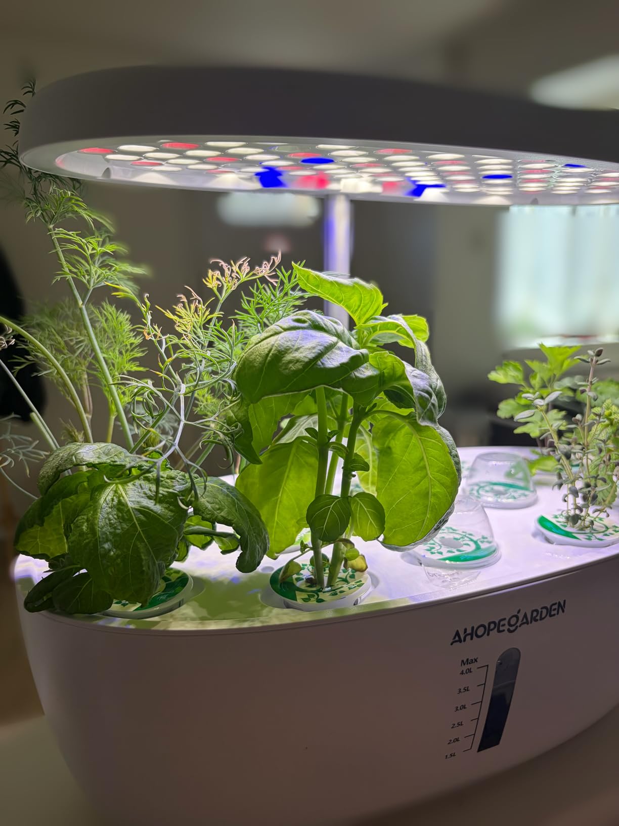 Ahopegarden Indoor Garden Hydroponics Growing System: 12 Pods Plant Germination Kit with LED Grow Light customer photo 2