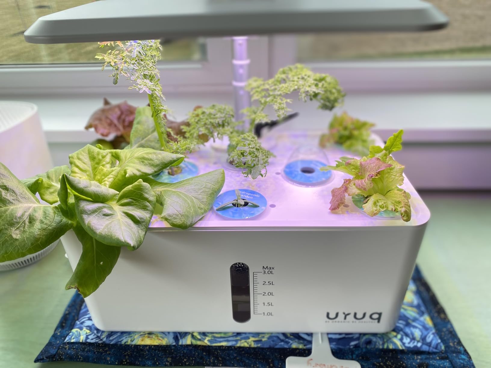 Hydroponics Growing System Indoor Garden: 8 Pods Herb Garden Kit Indoor with LED Grow Light Quiet Smart Water Pump Automatic Timer for Healthy Fresh Herbs Vegetables customer photo 1