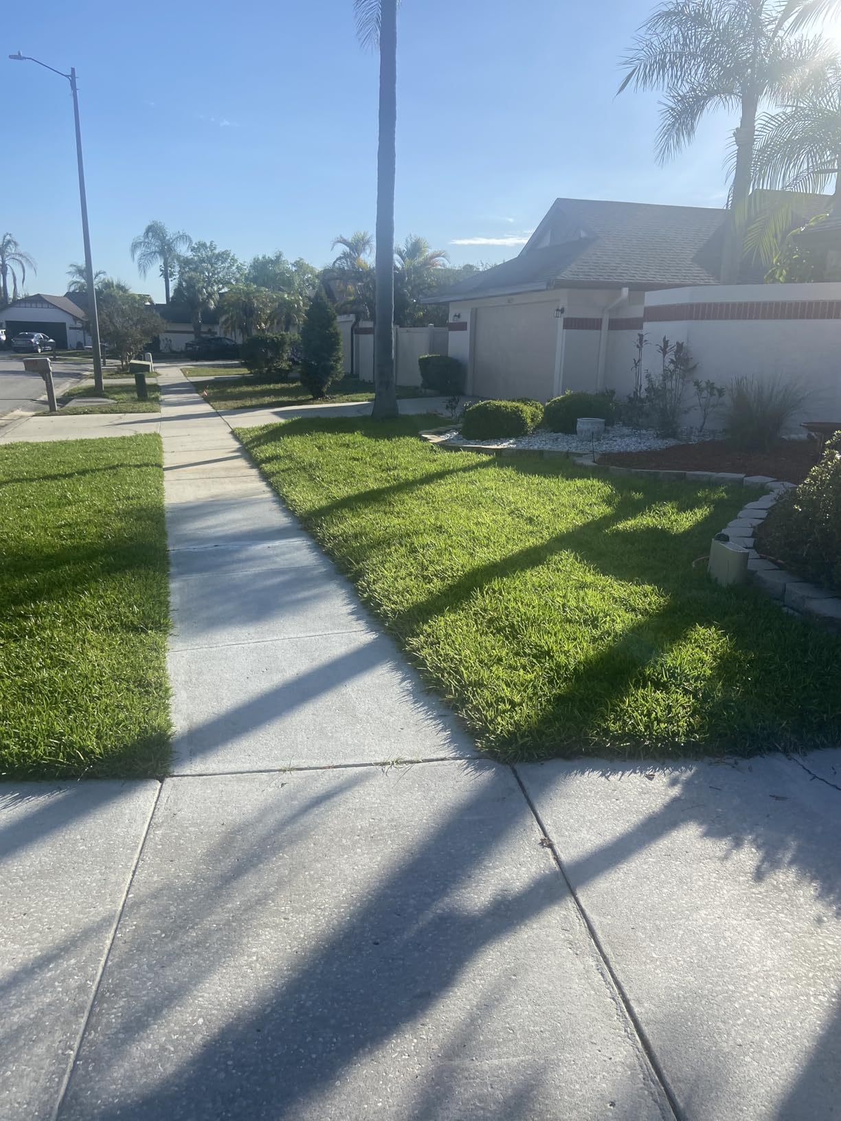 OtO Lawn Smart Sprinkler - App-Controlled Precision Watering, Solar-Powered, Weather Intelligence, Rain Skips, Quick Install, Covers 5,000 sq ft, Water-Saving Irrigation System customer photo 1