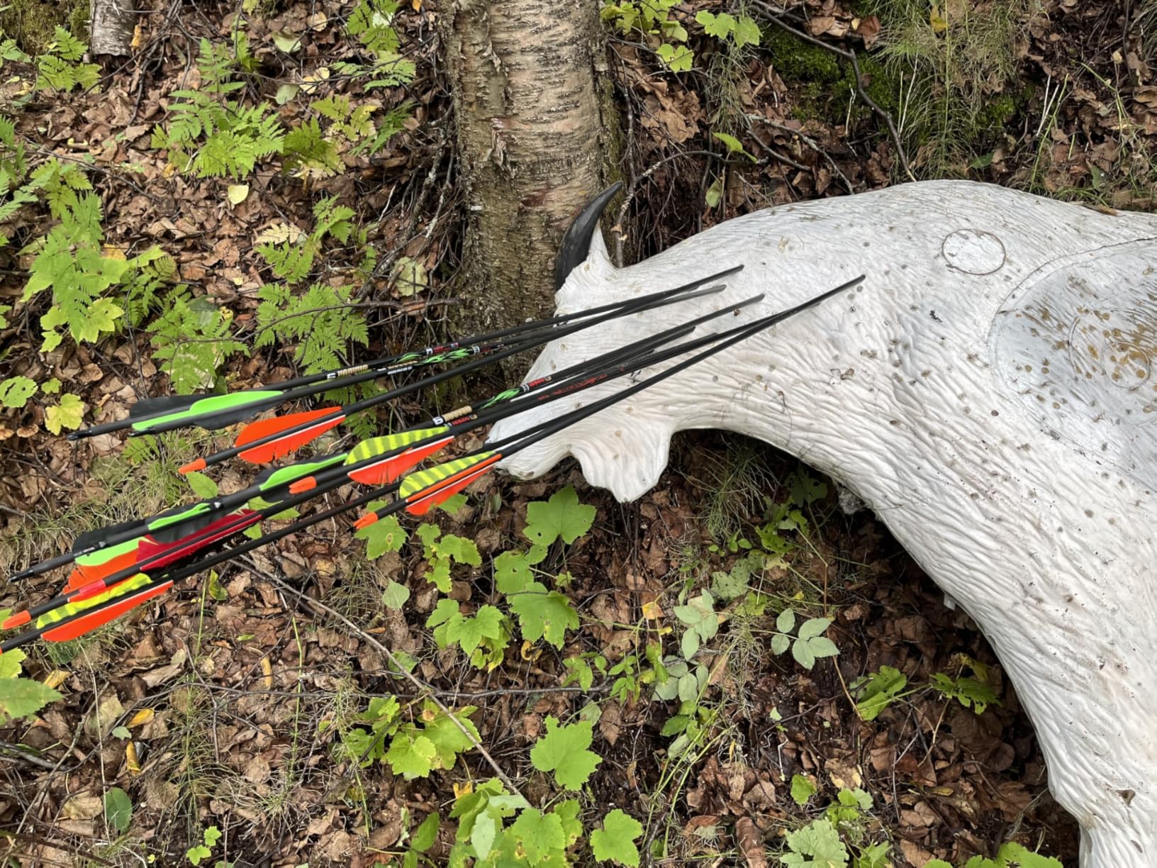 Sanlida Dragon X9 Ready to Hunt Compound Bow Package for Adults, 0-70 Lbs Draw Weight, No Bow Press Needed, Limited Life-time Warranty, RH Only customer photo 2