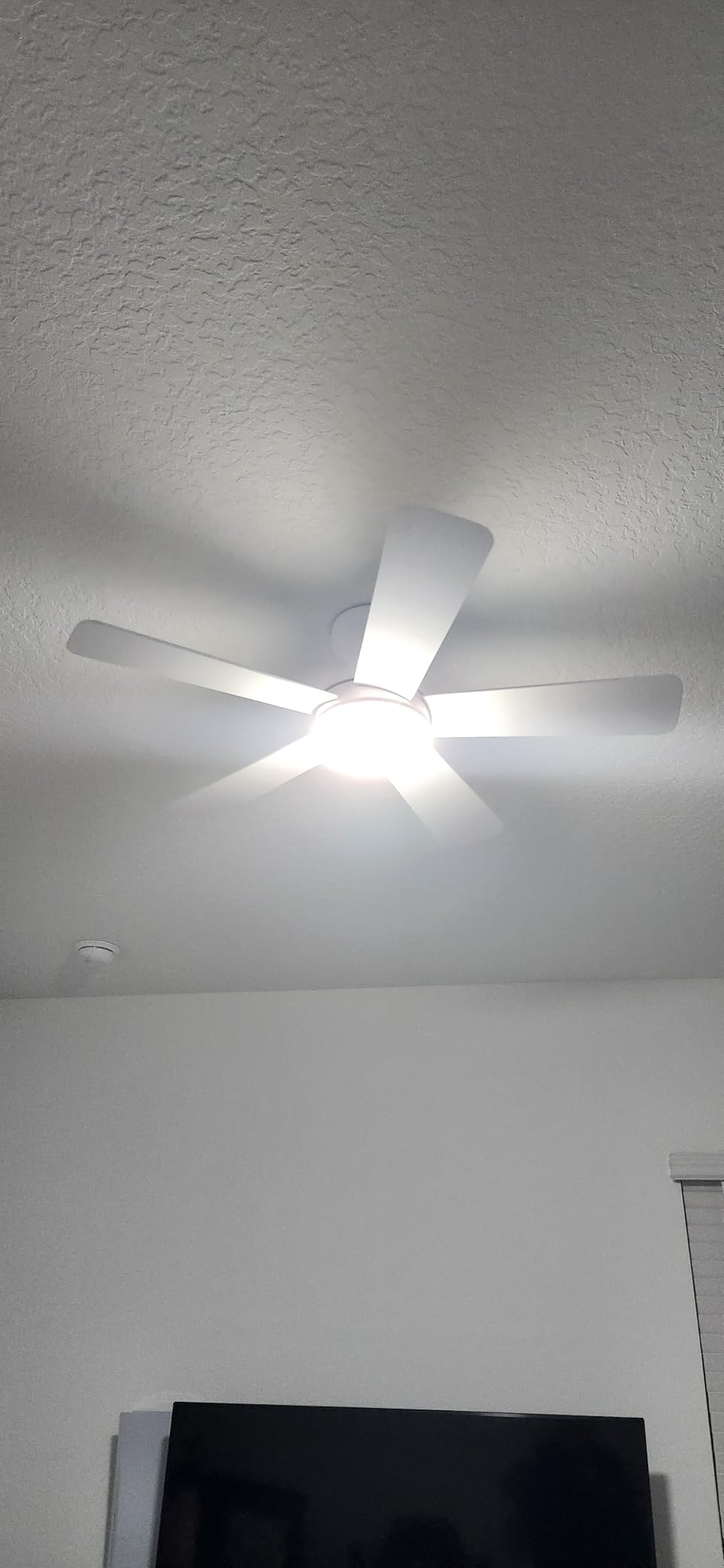 addlon Ceiling Fans with Lights, 42 Inch Low Profile Ceiling Fan with Light and Remote Control, Flush Mount, Reversible, 3CCT, Dimmable, Quiet, White Small Ceiling Fan for Bedroom Indoor/Outdoor Use customer photo 1