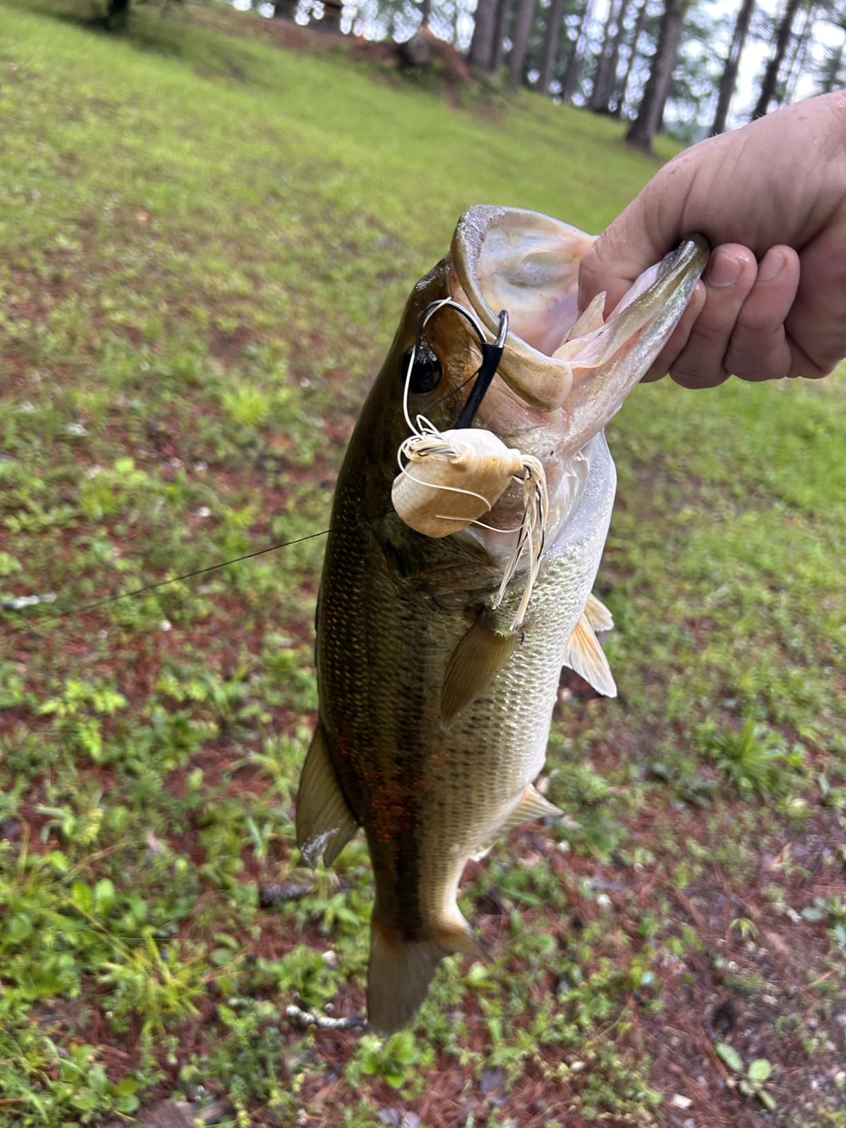 Berkley Swamp Lord Hollow Body Frog Fishing Bait customer photo 2