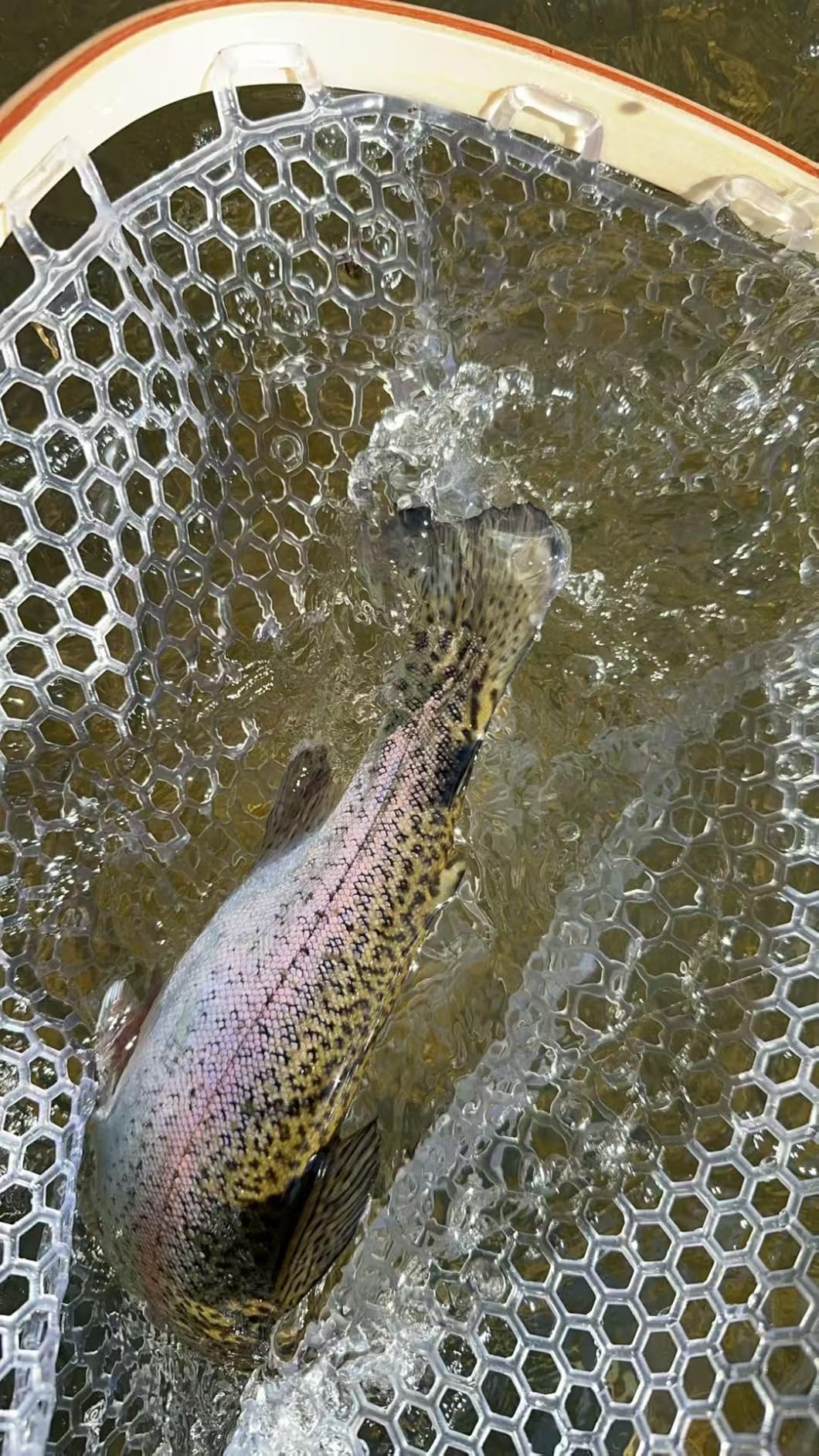 Kylebooker Fly Fishing Landing Net Wooden Frame Trout Fishing Net Soft Rubber Mesh for Catch and Release customer photo 1