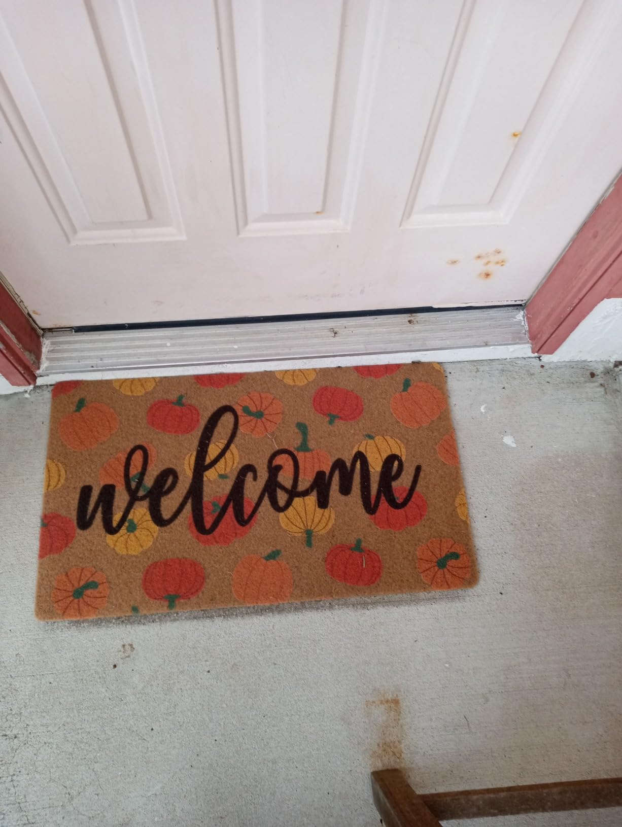 Easter Coir Doormat Spring Welcome Mat - Colorful Easter Eggs Front Door Mat Indoor Outdoor Entrance Decor 17 X 29 Inch customer photo 2