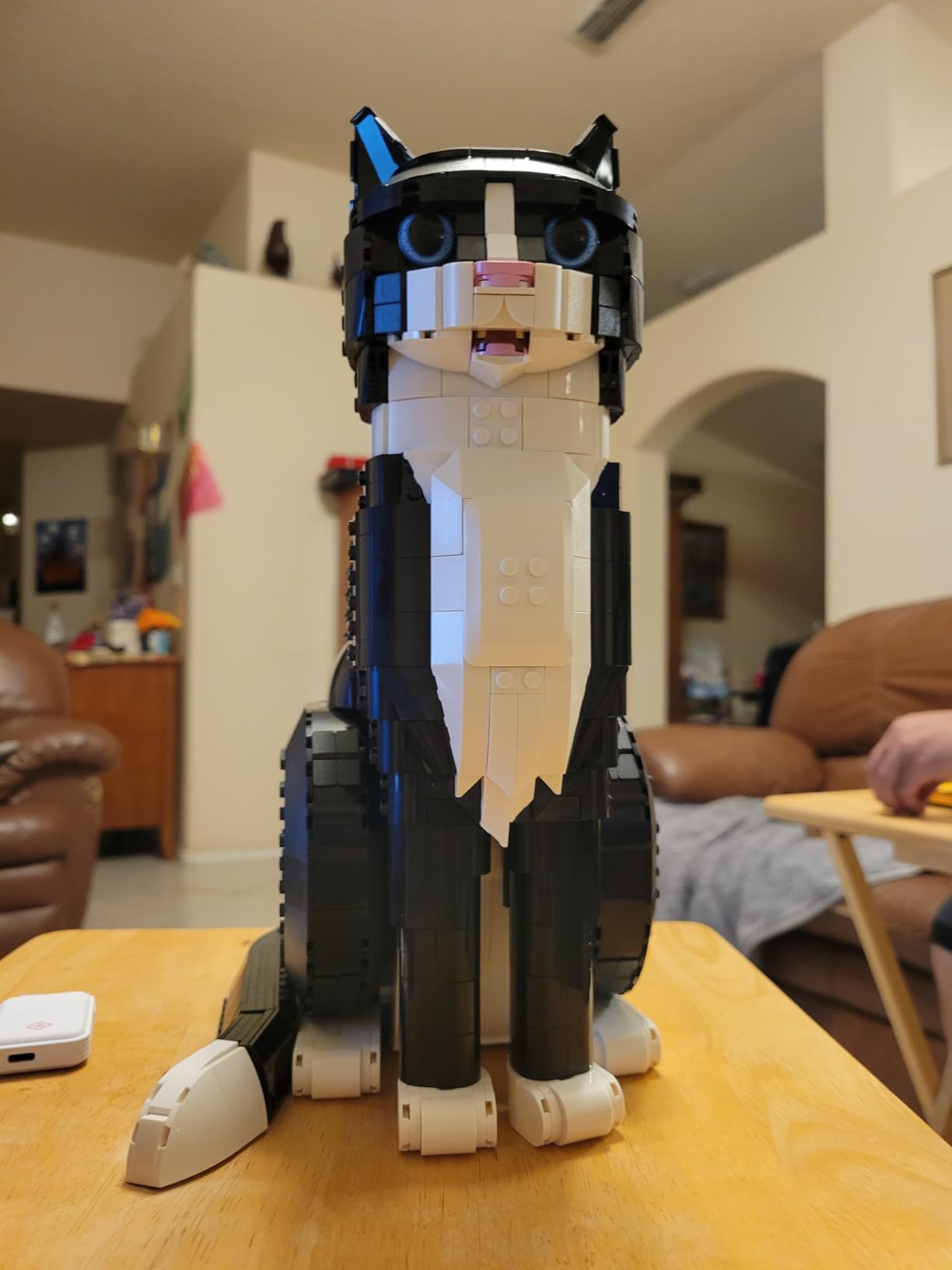 LEGO Ideas Tuxedo Cat - Building Sets for Adults, Ages 18+ - DIY Crafts Kit for Home Decor, Living Room or Bedroom - Gift for Animal Lovers - 21349 customer photo 1