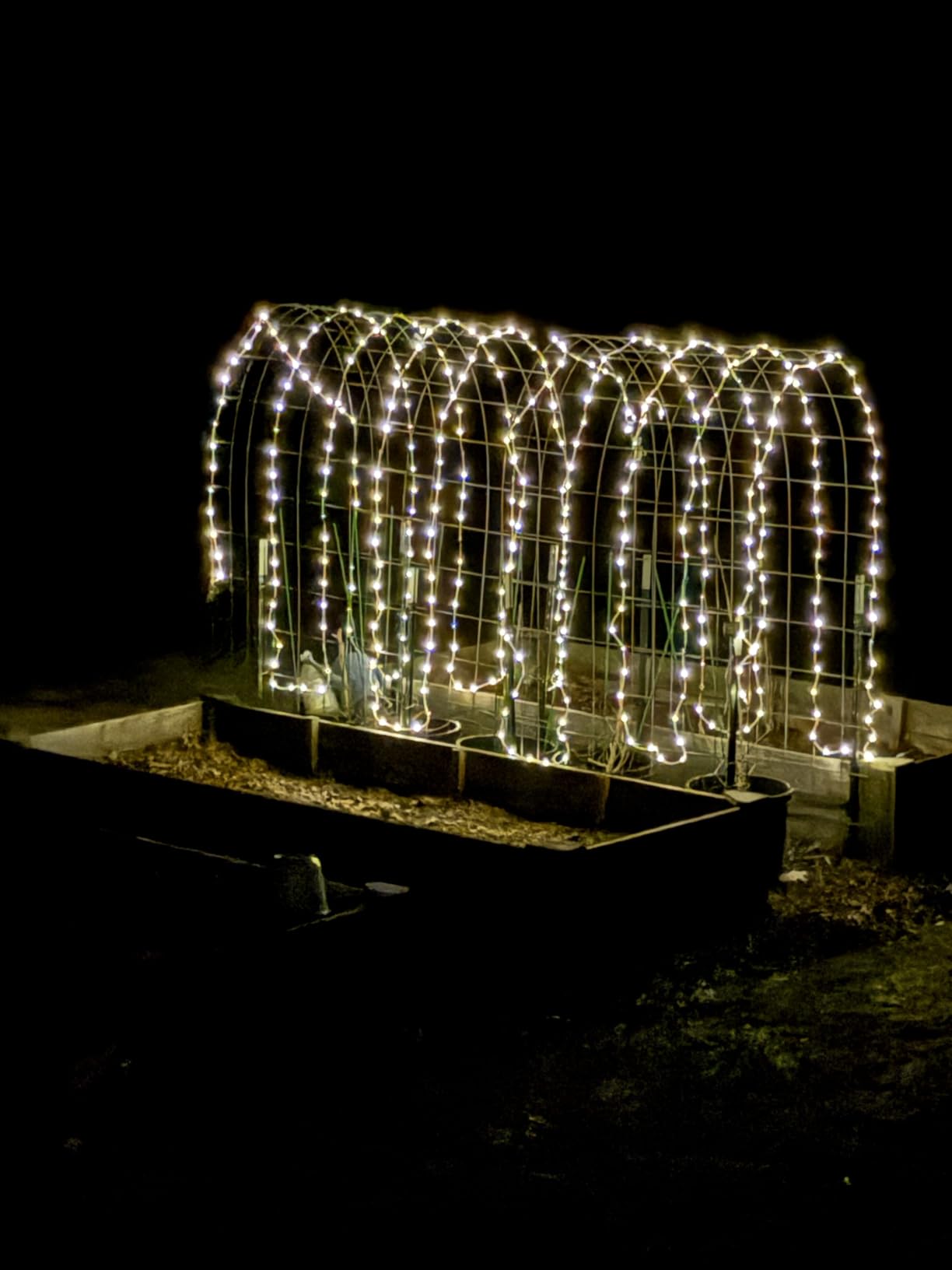 Brightown Solar Rope Lights, 39FT 100LED Outdoor Solar String Lights, IP65 Waterproof Solar Powered Fairy Lights with 8 Lighting Modes for Party Garden Patio Pool Backyard Tree Decoration, Warm White customer photo 1