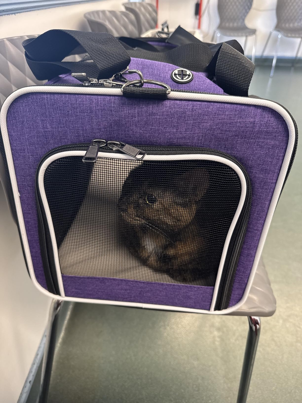 GAPZER Small Dog Carrier for Puppy Yorkshire Softshell Car Transport Chihuahua Carry Cage 18-inch Collapsible Doggie Vet Visit Crate Easy Load Roomy Pet Carrier Bag Kennel Dog Essentials Teal customer photo 2