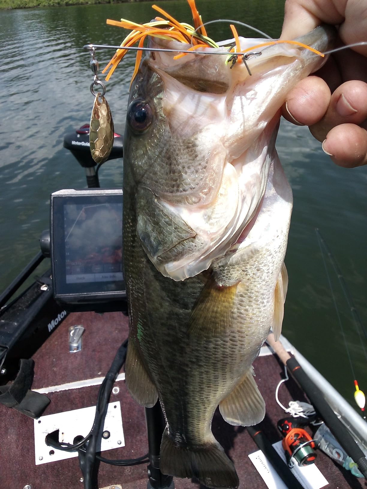 Luck E Strike Redman Spinner Bait by Jimmy Houston, 3/8 Ounce Colorado Spinnerbait customer photo 2