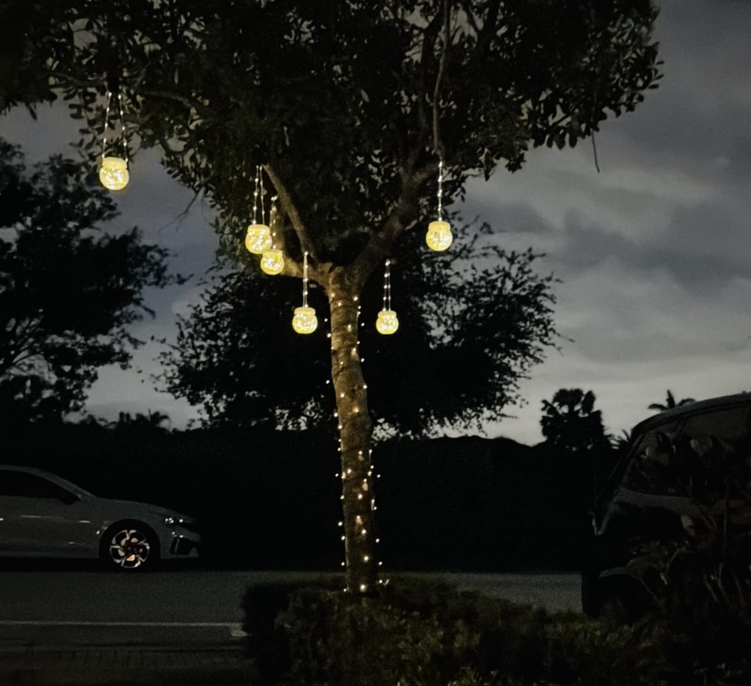 Minetom Solar String Lights Outdoor Waterproof - 40 FT 100 LED Solar Powered String Lights with 8 Lighting Modes, IP65 Waterproof Solar Christmas Lights for Outdoor Outside Tree Party Decor, Warm White customer photo 1