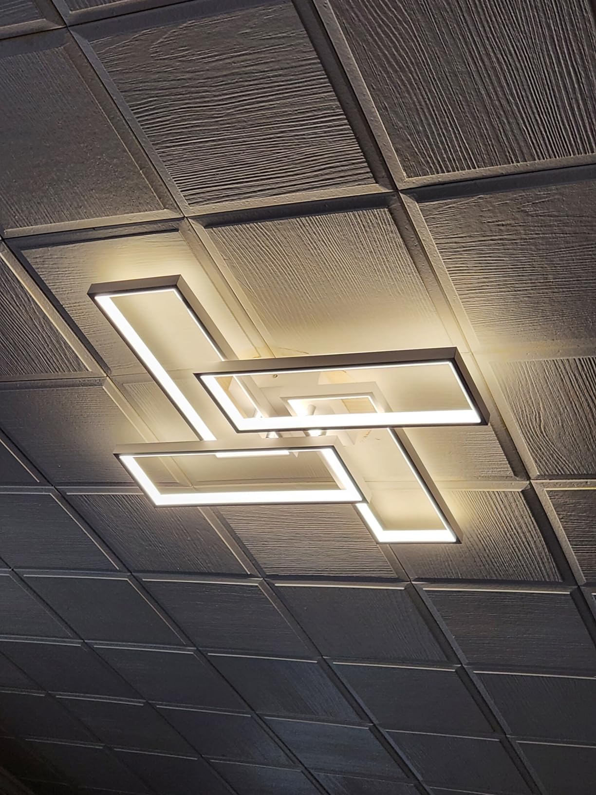 Shine LUEST Modern LED Ceiling Light, Dimmable LED Chandelier Black Flush Mount Ceiling Lights, Remote Control Acrylic Ring Ceiling Lamp Fixture for Living Room Dining Room Bedroom, 8H-FANG-BL-04 customer photo 2