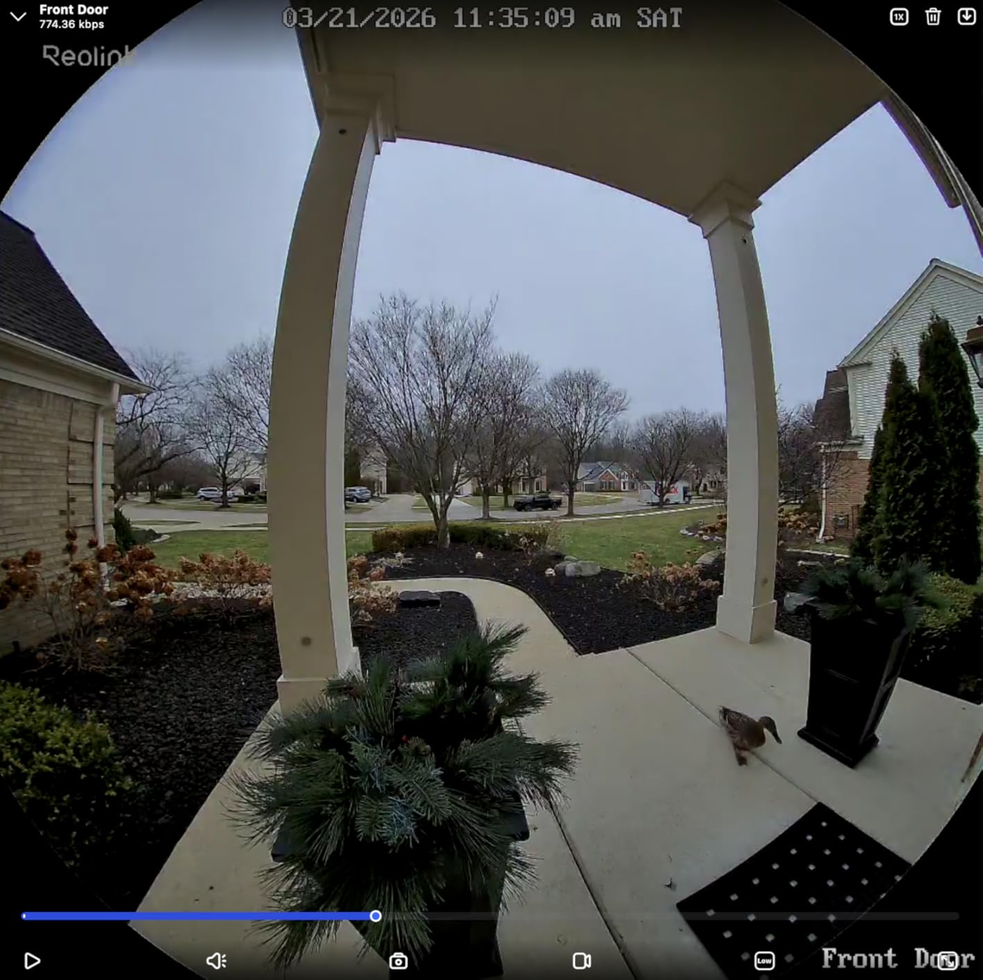 REOLINK 2K Battery Video Doorbell Camera, 150°x150° Head-to-Toe View, 2.4/5 GHz WiFi, Local Storage, No Monthly Fee, Two-Way Talk, Person/Vehicle/Package Detection(Chime not Included) customer photo 2