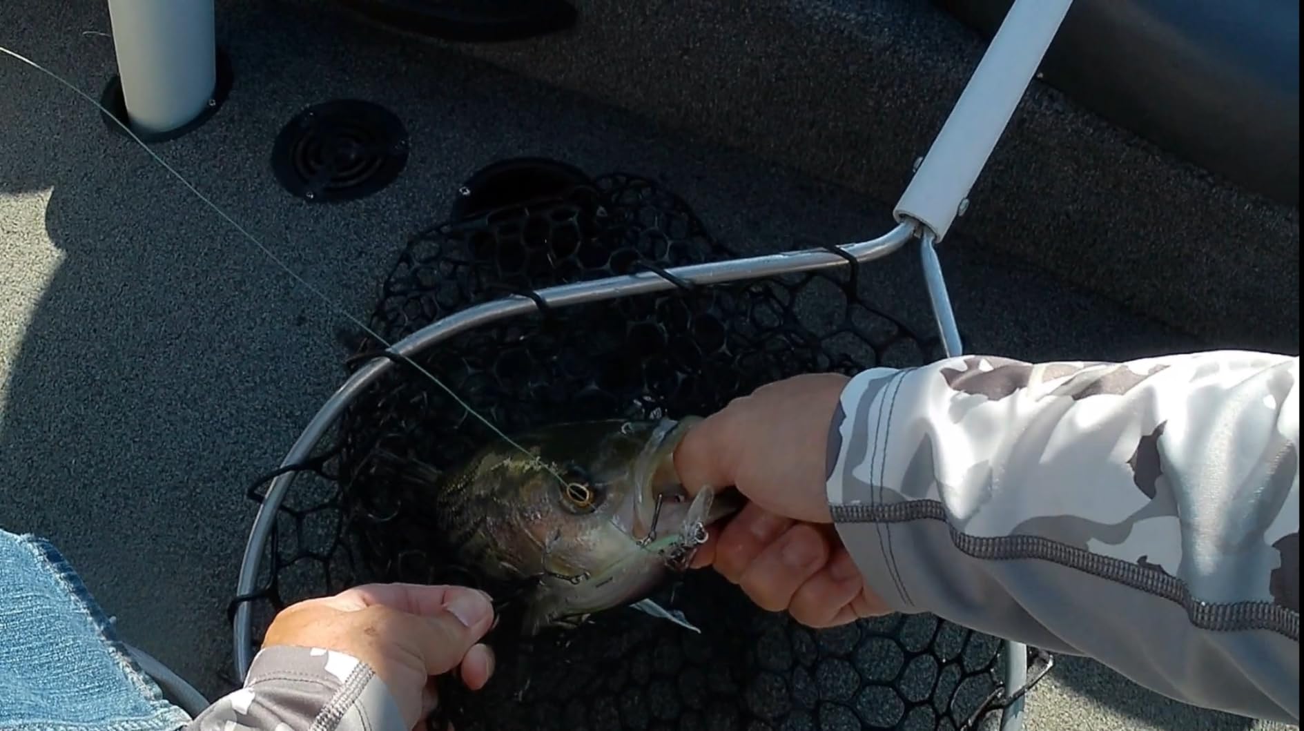 Berkley Stunna Fishing Hard Bait customer photo 1