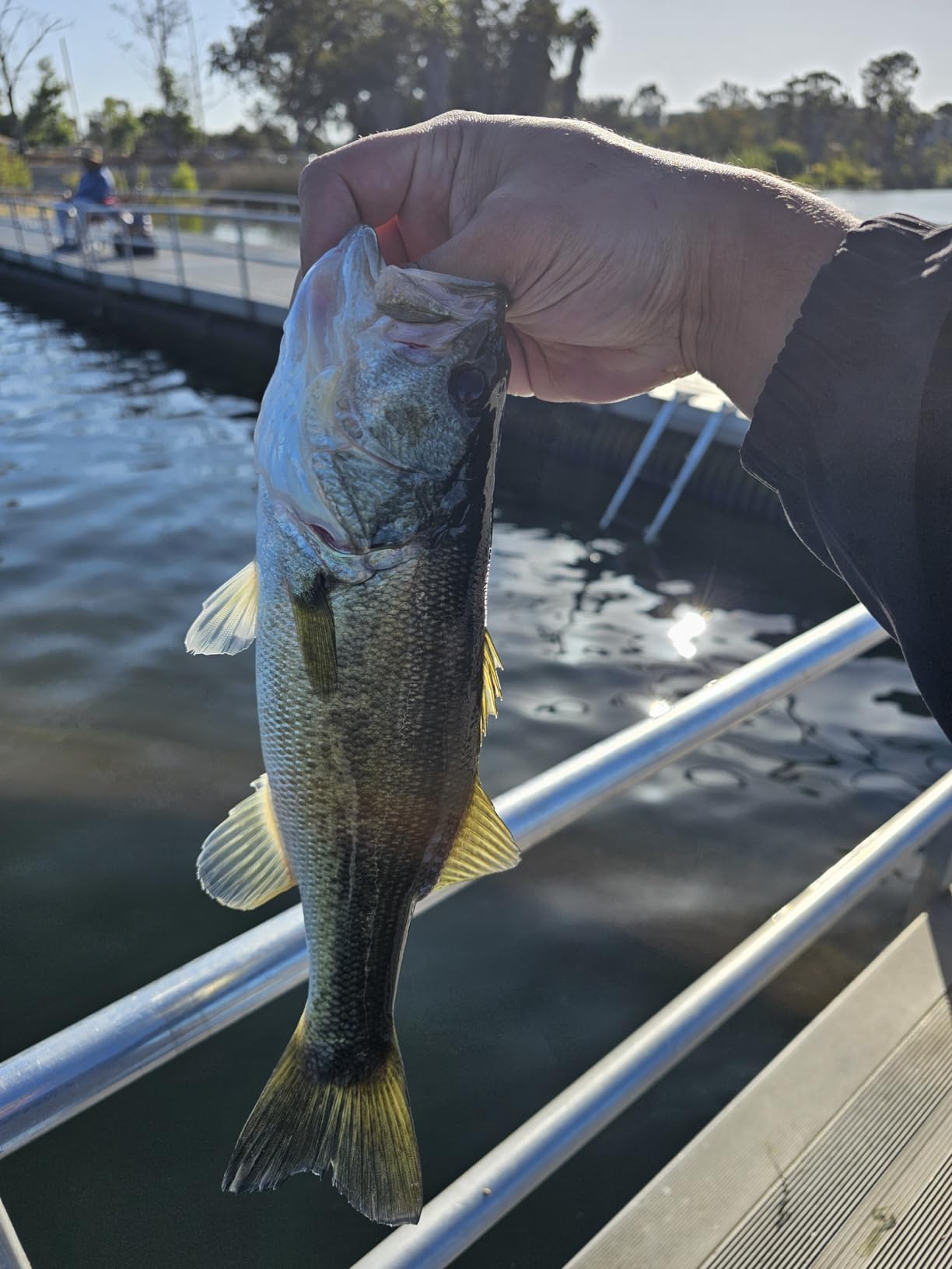 Berkley PowerBait Minnotator Fishing Soft Bait customer photo 2