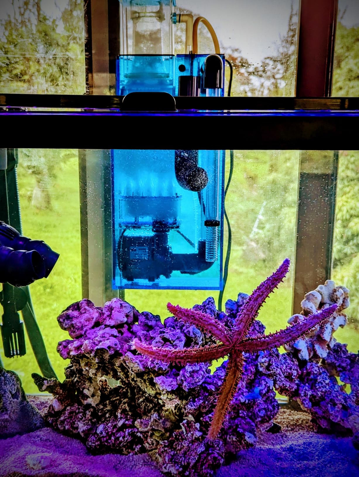 AquaReady Hang On Back Protein Skimmer for Saltwater Aquariums HOB-1.5, Up to 75 Gallon Fish Tank Filtration customer photo 2