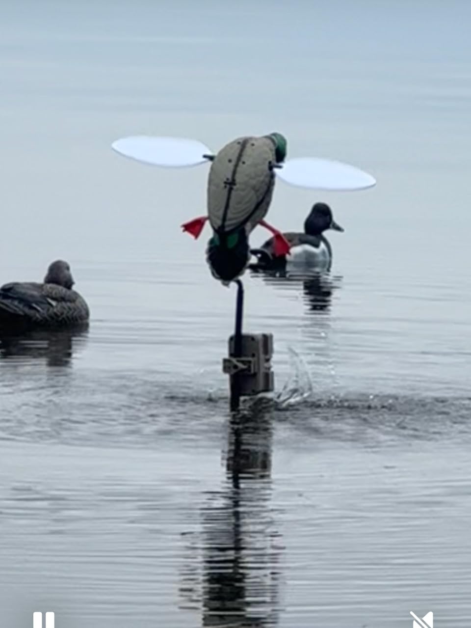 MOJO Outdoors Duck Hunting Accessories | Triple Whammy Waterfowl Motion Device customer photo 1