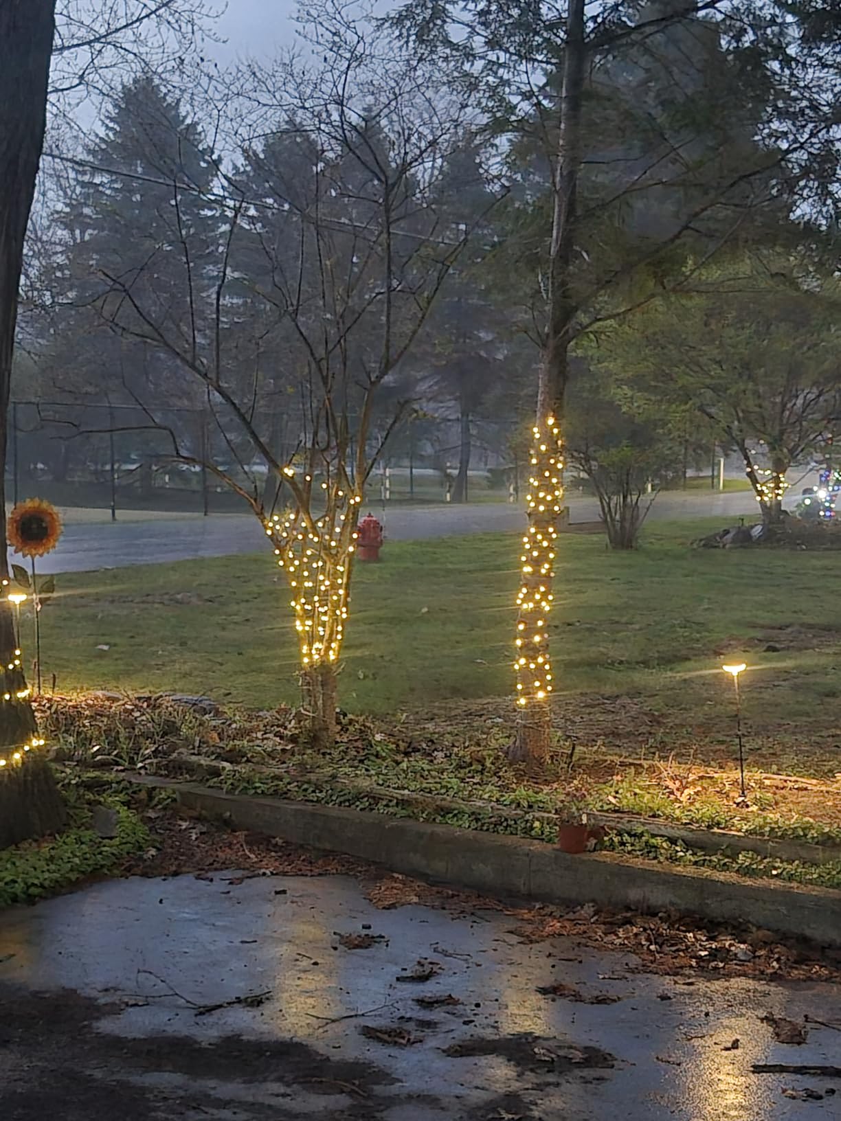 Joomer Solar Fairy Lights, 2-Pack Total 80FT 240LED Solar String Lights Outdoor Waterproof 8 Lighting Modes for Patio Fence Party Garden Yard Home Holiday Tree Outdoor Decoration (Warm White) customer photo 1
