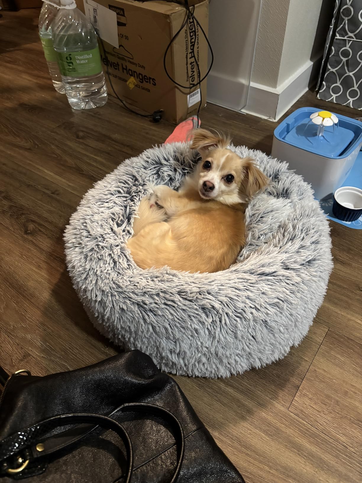 JOLLYVOGUE Calming Dog Bed Medium Size Dog, 31in Donut Washable Medium Pet Bed, Anti-Slip & Anti-Anxiety Fluffy Faux Fur Round Dogs Bed, Fits up to 45 lbs Pets (Smoke Grey) customer photo 2