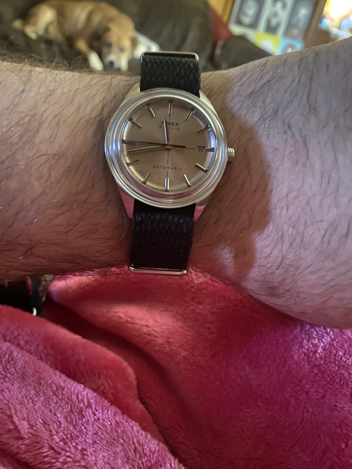 Timex Men's Marlin 40mm Automatic Watch customer photo 1