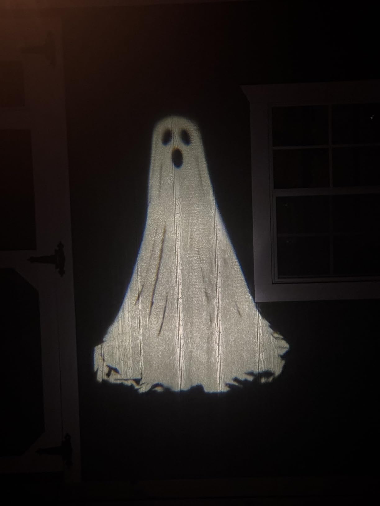 Halloween Projector Lights Outdoor,3D Dynamic Ghost Decorations Light,2025 Upgraded Clearer Ghost HD Patterns,Night Light for Home Window Wall Halloween Decor customer photo 1