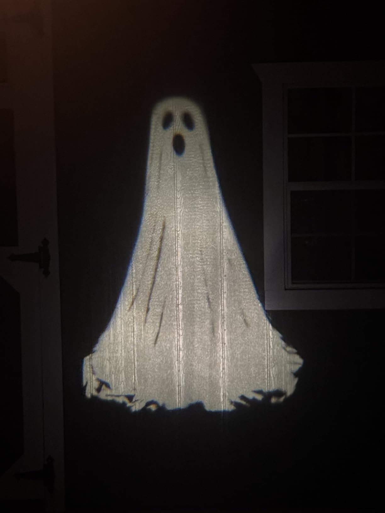 Halloween Projector Lights Outdoor,3D Dynamic Ghost Decorations Light,2025 Upgraded Clearer Ghost HD Patterns,Night Light for Home Window Wall Halloween Decor customer photo 2