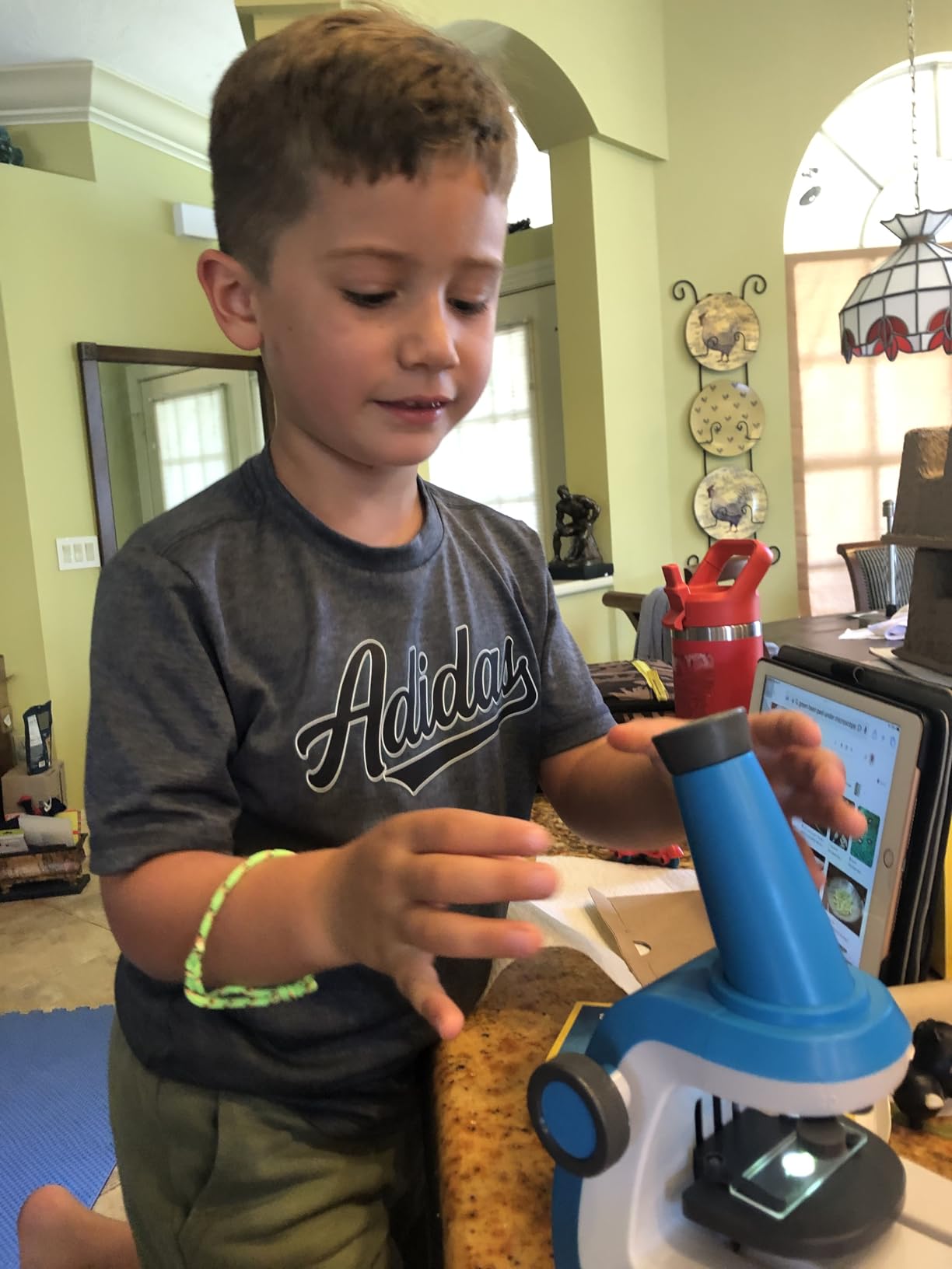 National Geographic Junior Microscope for Kids - Kit Includes Up to 250x Magnification Handheld Mini Attachment, 12 Slides, Lab Guide, Science Toy for Ages 6-12, STEM Project customer photo 2