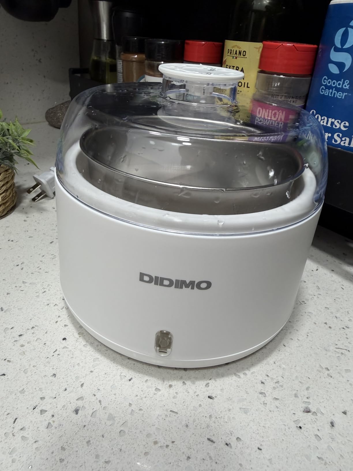 Yogurt Maker, 1.37 QT Automatic Greek Yogurt Machine with Constant Temperature Control, Yogurt Maker Machine for Probiotic, Curd, Small Stainless Steel Container for Home Kitchen customer photo 1