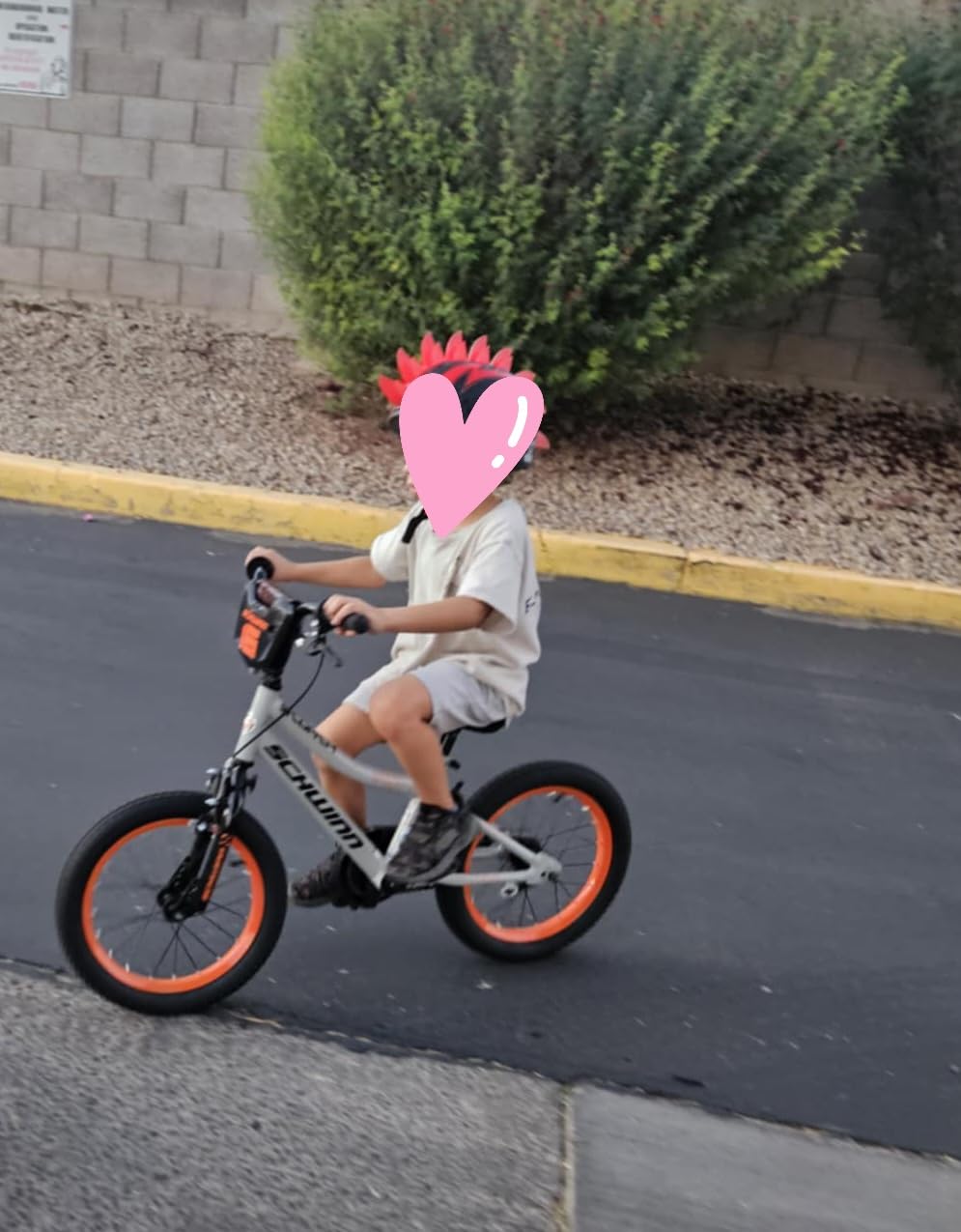 Schwinn Firehawk or Scorch 20 Inch Bike for Kids Ages 3-13, Rear Coaster Brake & Front or Front & Rear Hand Brake customer photo 1