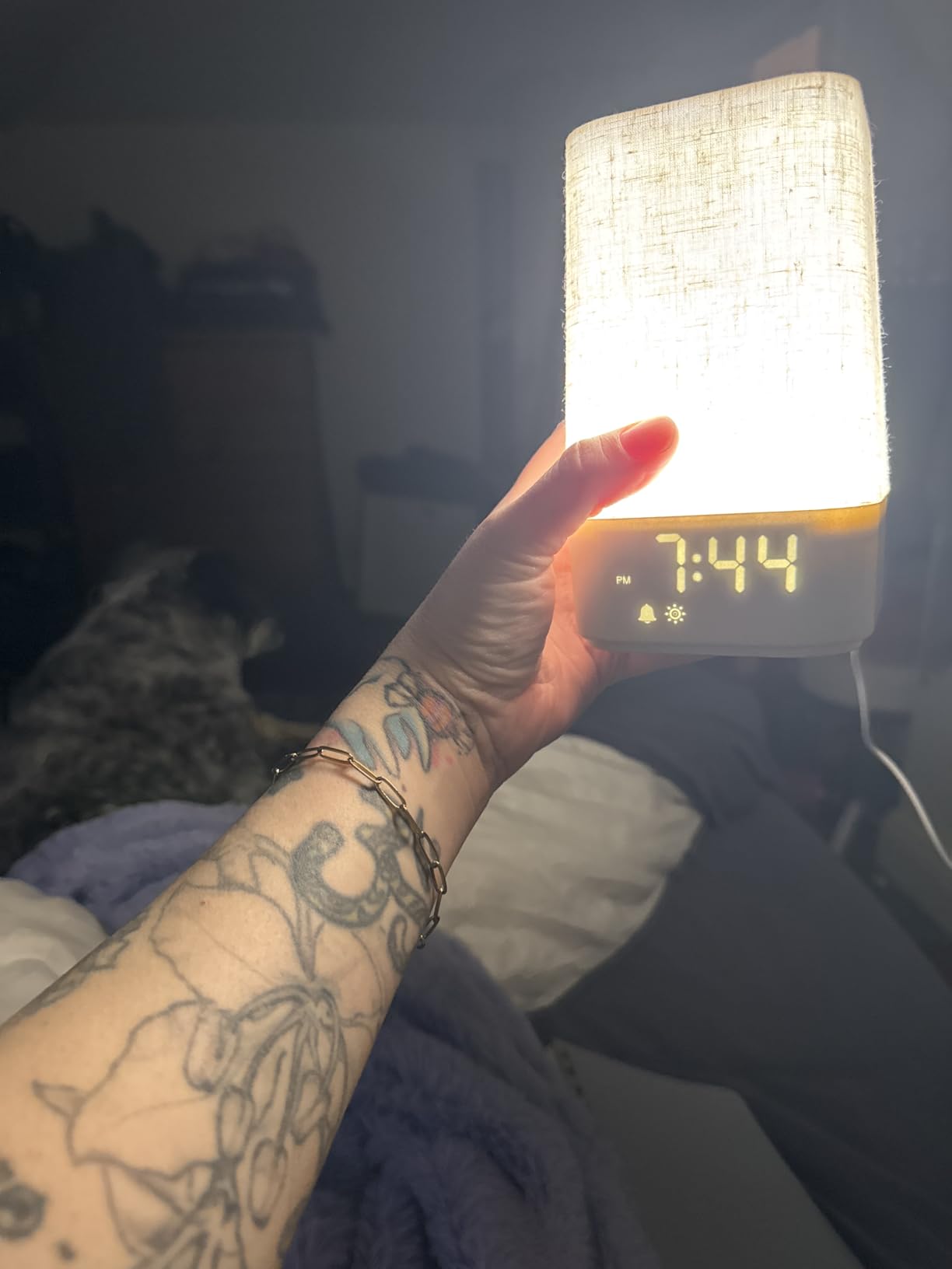 10-60 Mins Simulate Sunrise Alarm Clock: Gentle Wake Up Light Adjustable Brightness, 30-Level Volume, Bright & Loud Enough for Heavy Sleepers - White Noise Machine with 30 Soothing Sounds, Ease of Use customer photo 2