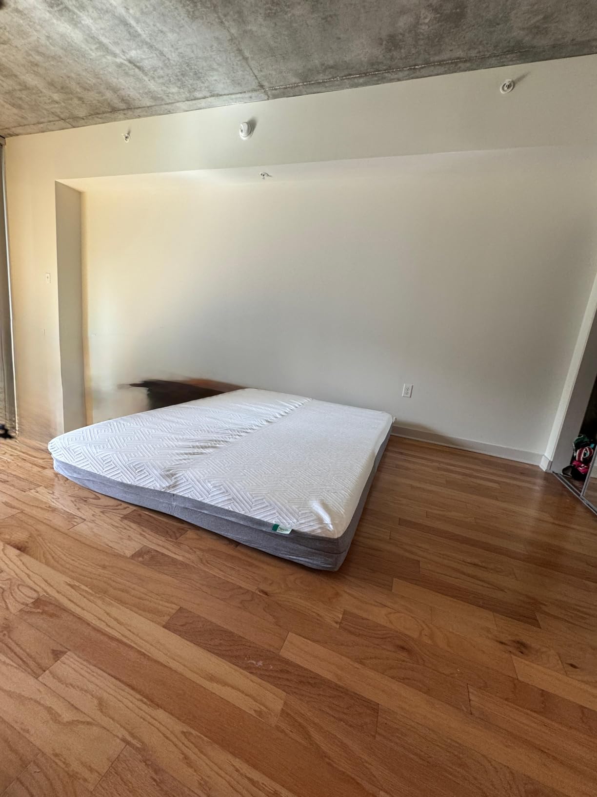 Novilla Bliss Mattress King Size, 14 Inch Gel King Size Memory Foam Mattress in a Box for Cooling Comfort & Pressure Relieving, Target Zoned Support for Back Pain Relief, CertiPUR US Certified Foams customer photo 2