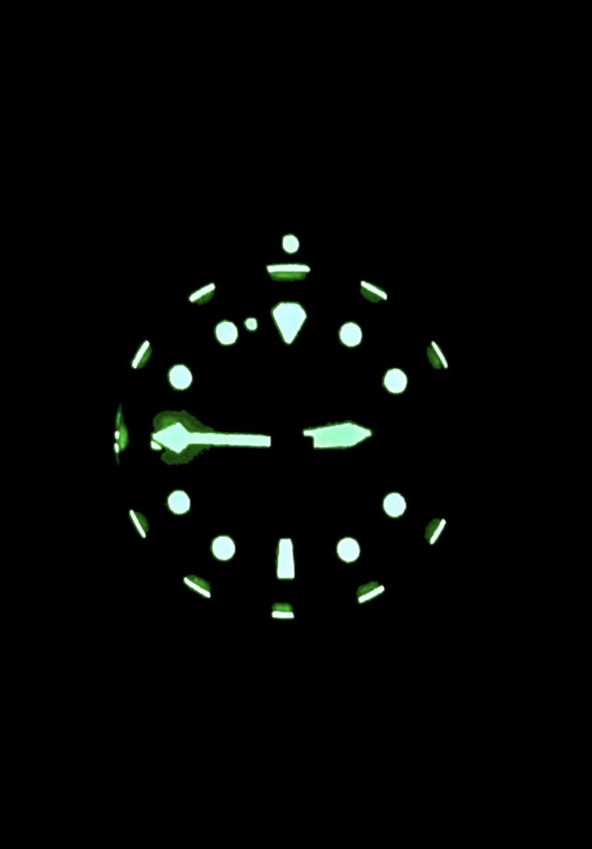 RATIO FreeDiver Sapphire Crystal Diver Watch Japanese Automatic Movement Dive Watch 200m Water Resistant Diving Watch customer photo 1