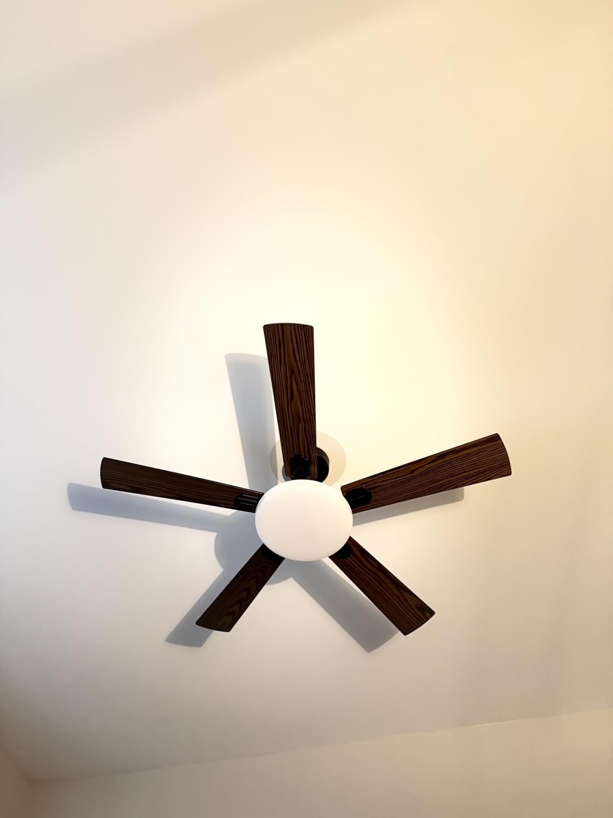 Passky Ceiling Fans with Lights, 52 inch Sleek Ceiling Fan with Light and Remote Control, 3CCT, Dimmable, Reversible, Noiseless, Black Ceiling Fan for Bedroom, Living Room customer photo 1