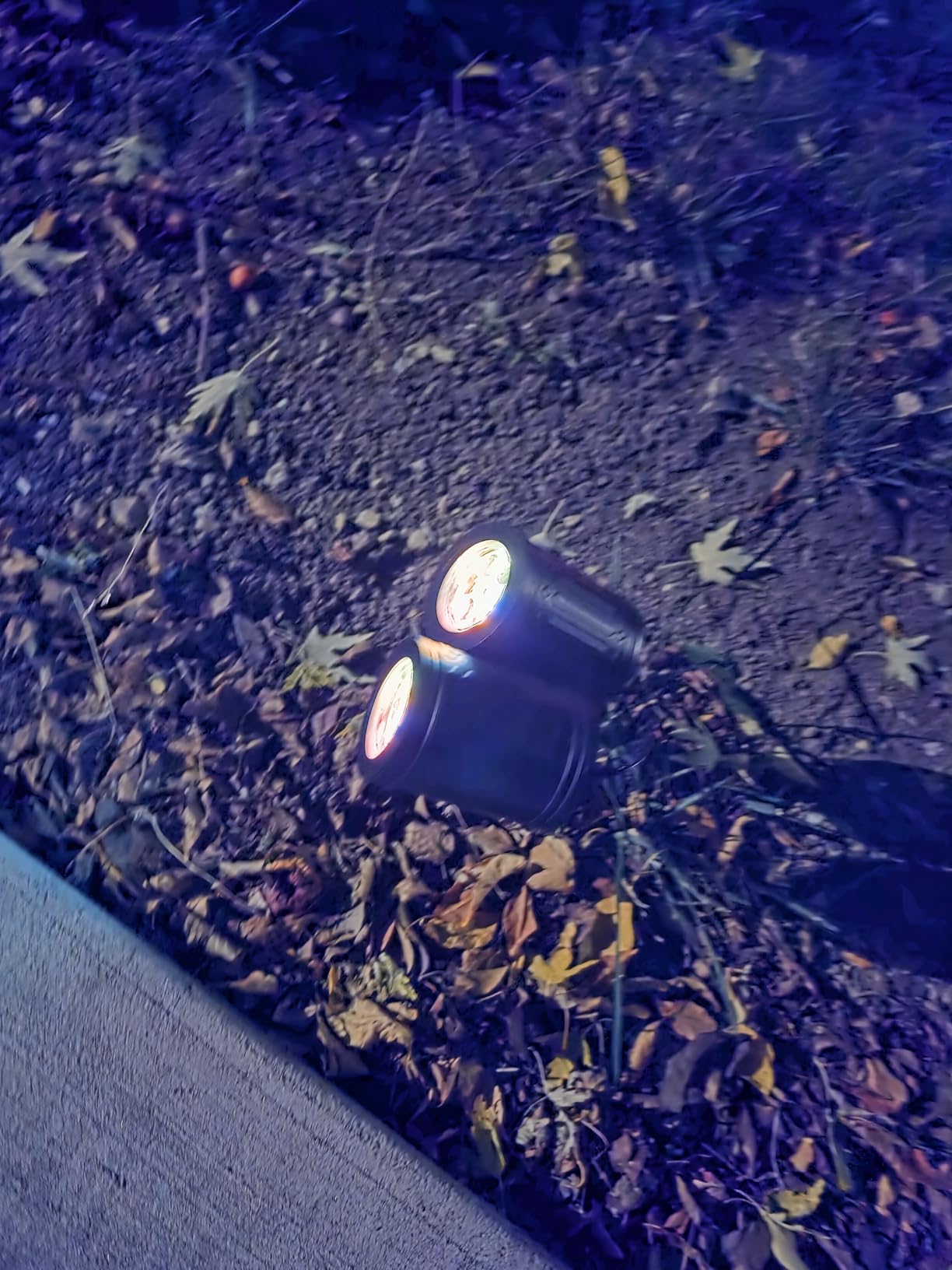 Upgraded Halloween Projector Lights Outdoor, Double Head Dynamic Projector Lights Indoor, 360 Degree Rotating Waterproof Pumpkin Ghost Skeleton Bats Projection Light for Yard Window Party Decor customer photo 2