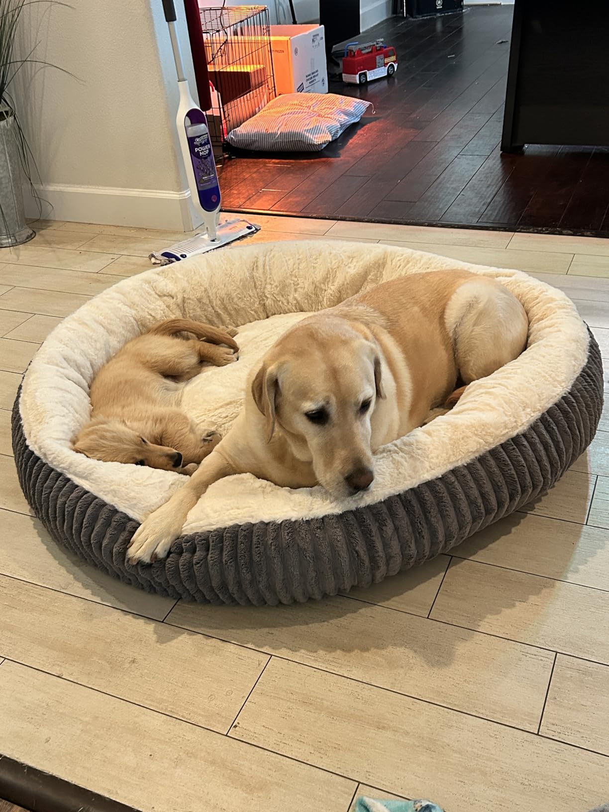 36 inches Donut Dog Bed for Large Dogs - Calming Round Pet Bed with Removable&Washable Cover, Plush Faux Fur & Corduroy, Fits Pets up to 80 lbs(Dark Grey, Large) customer photo 2